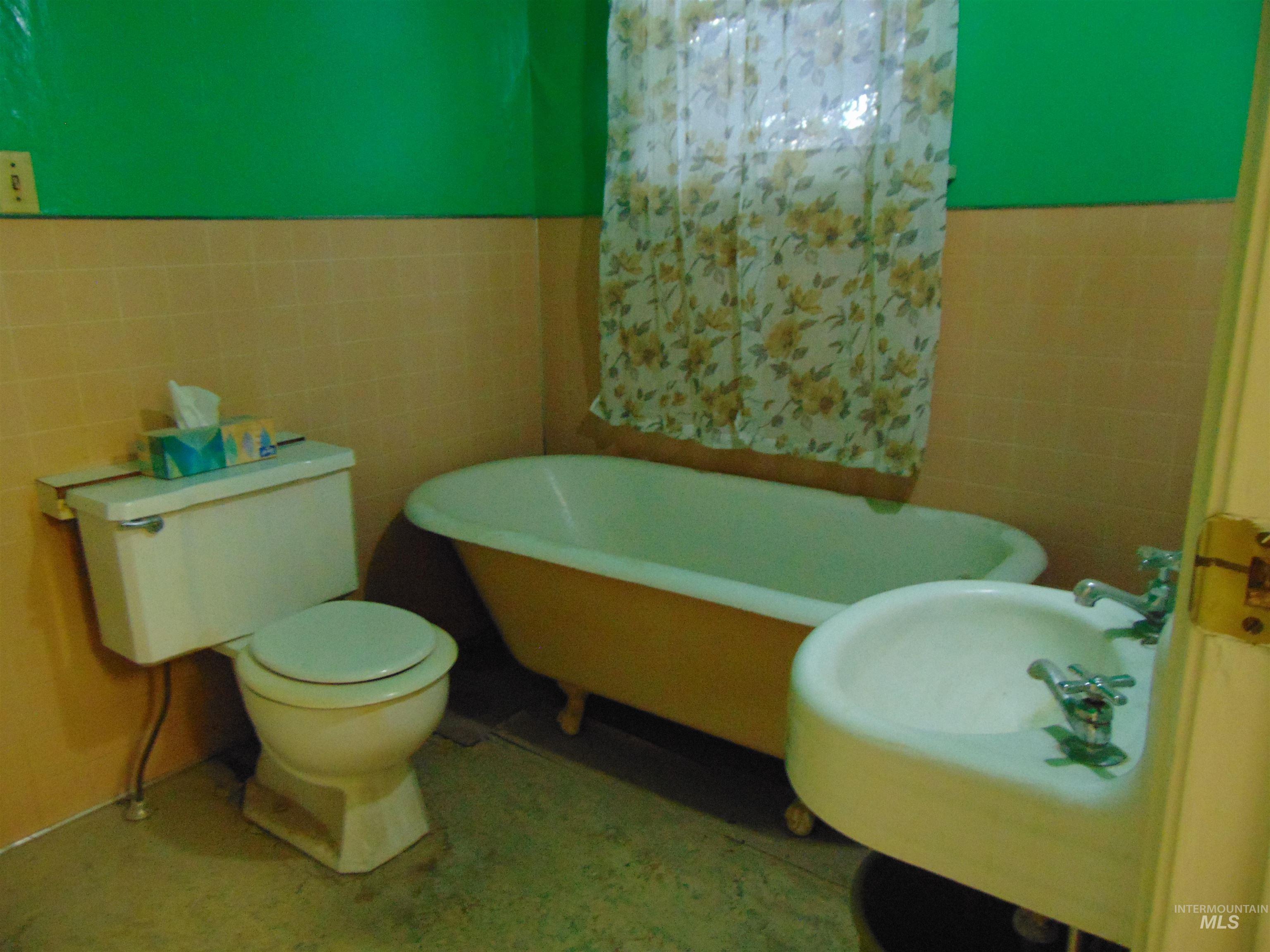 233 Glenn Street Property Photo 6