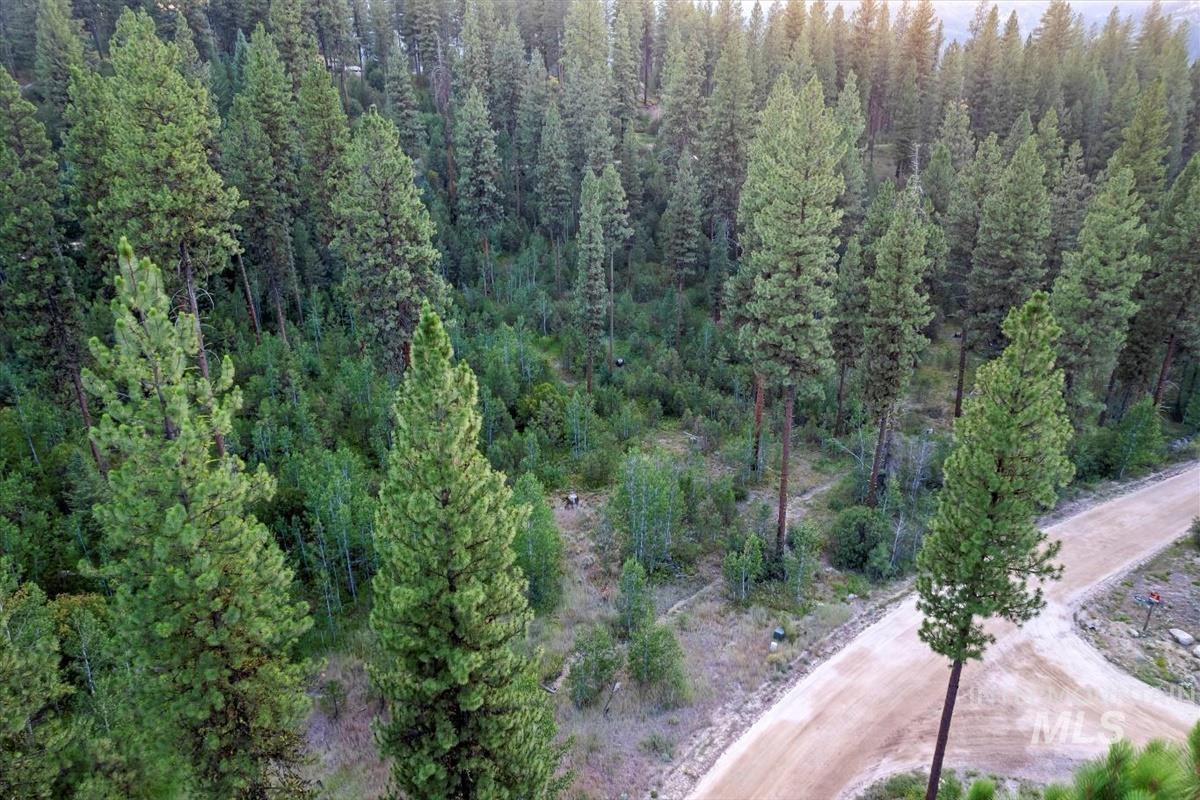 Lot 12 Shaw Gulch Road Property Photo 7