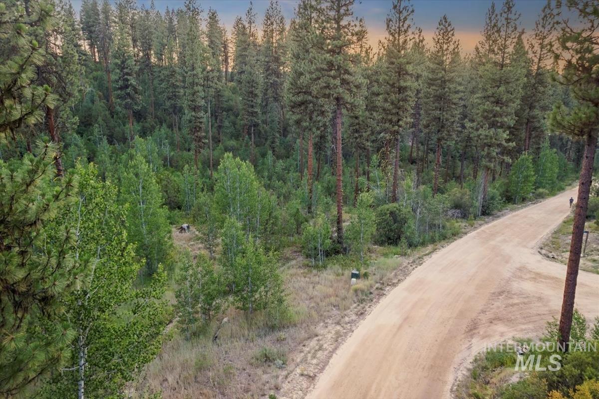 Lot 12 Shaw Gulch Road Property Photo 16