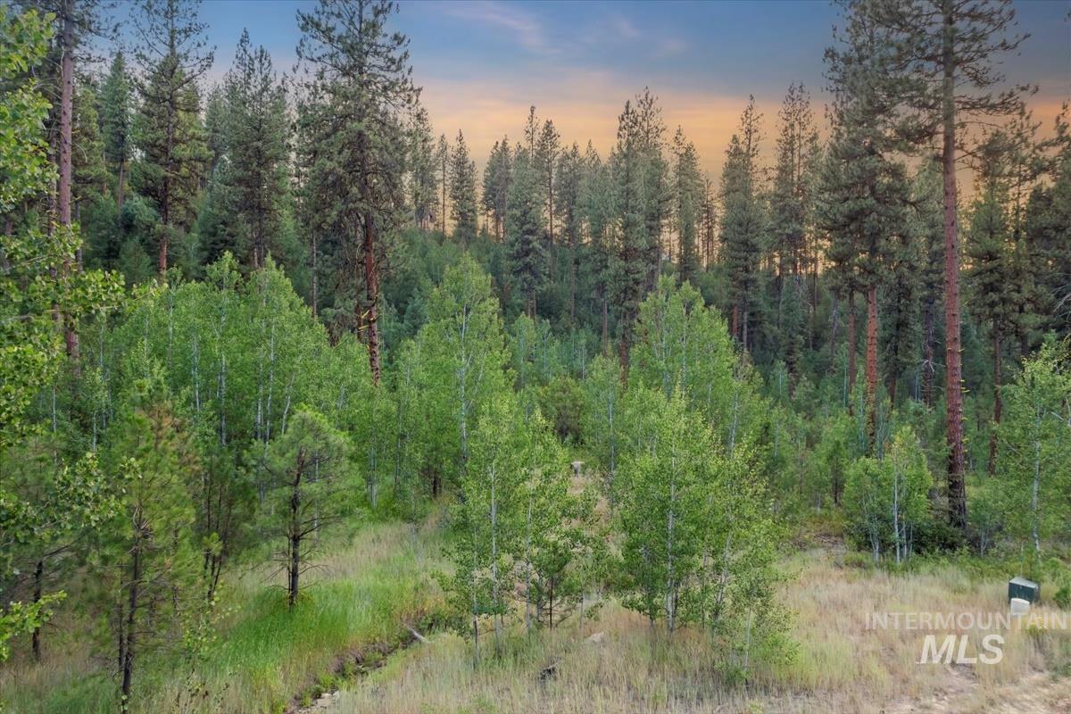 Lot 12 Shaw Gulch Road Property Photo 17