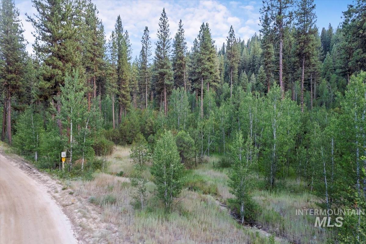 Lot 12 Shaw Gulch Road Property Photo 18