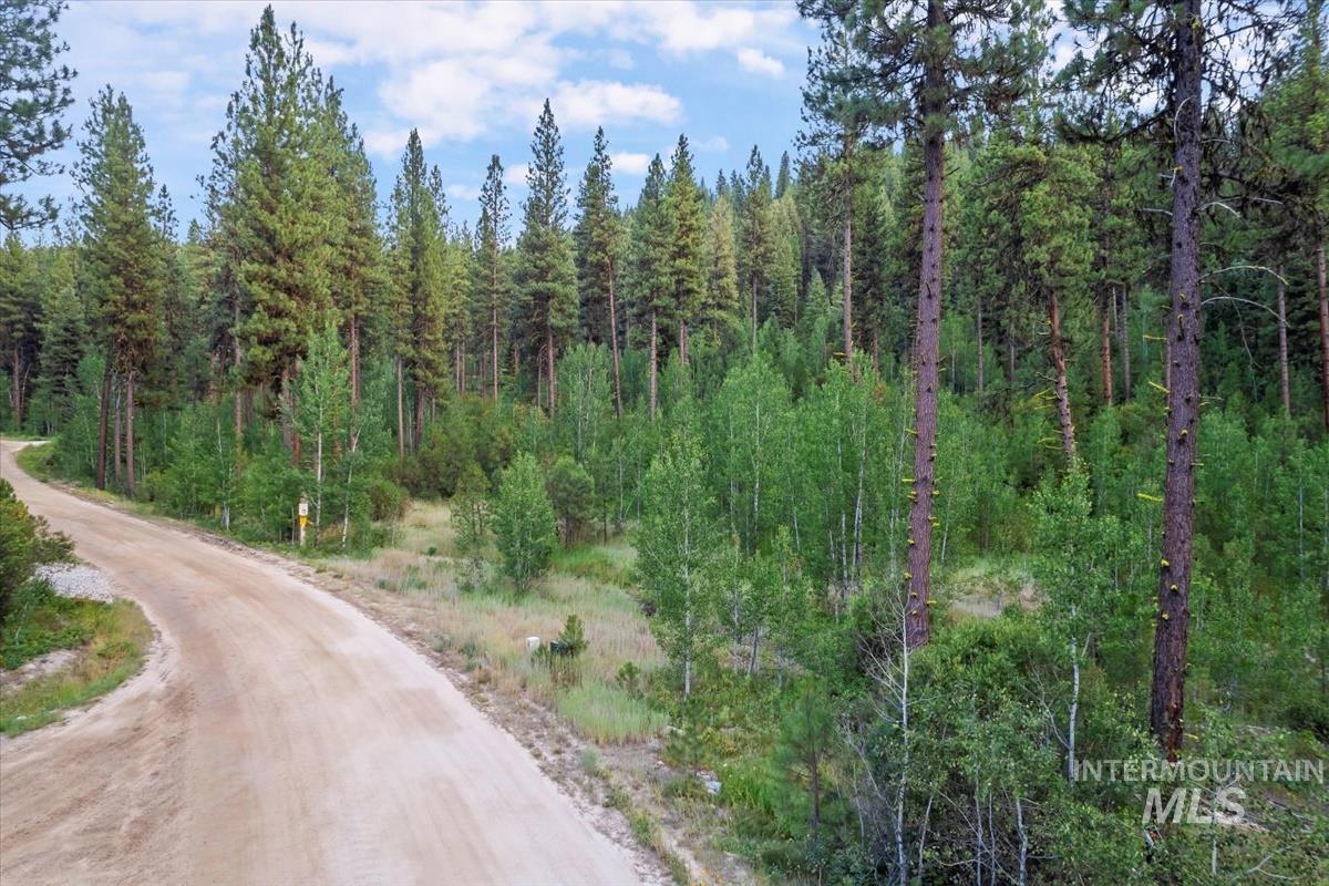 Lot 12 Shaw Gulch Road Property Photo 19