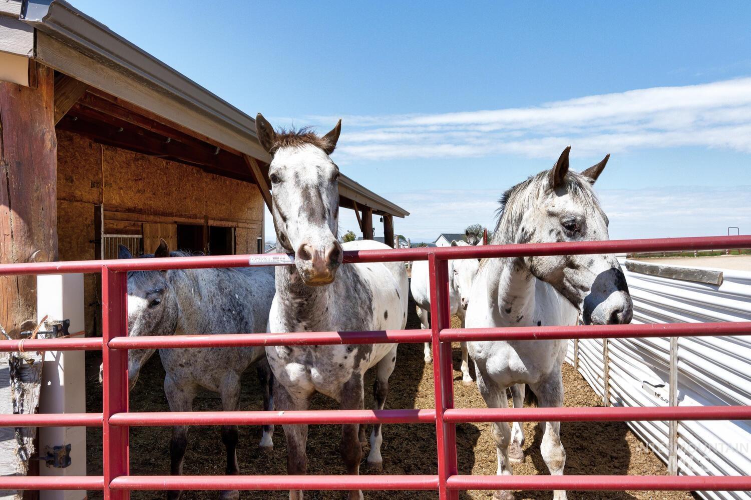 5377 Ten Mile Property Photo 14