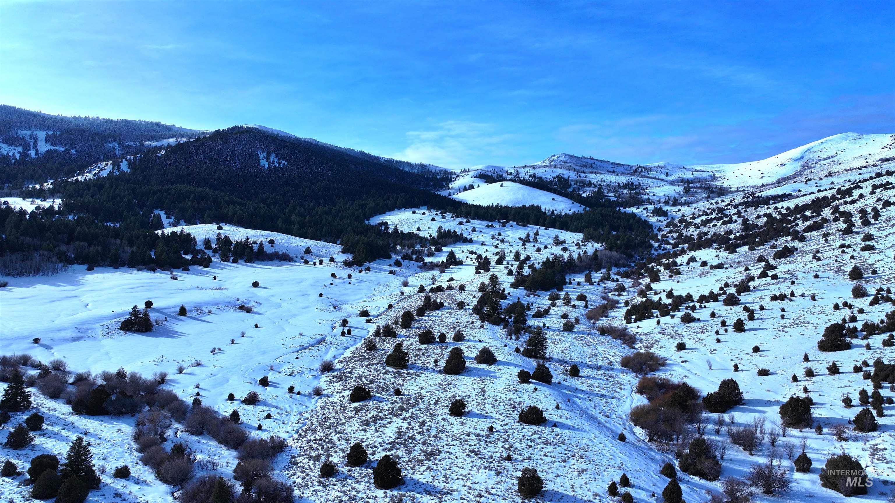 1200 S Lands Creek Road Property Photo 15
