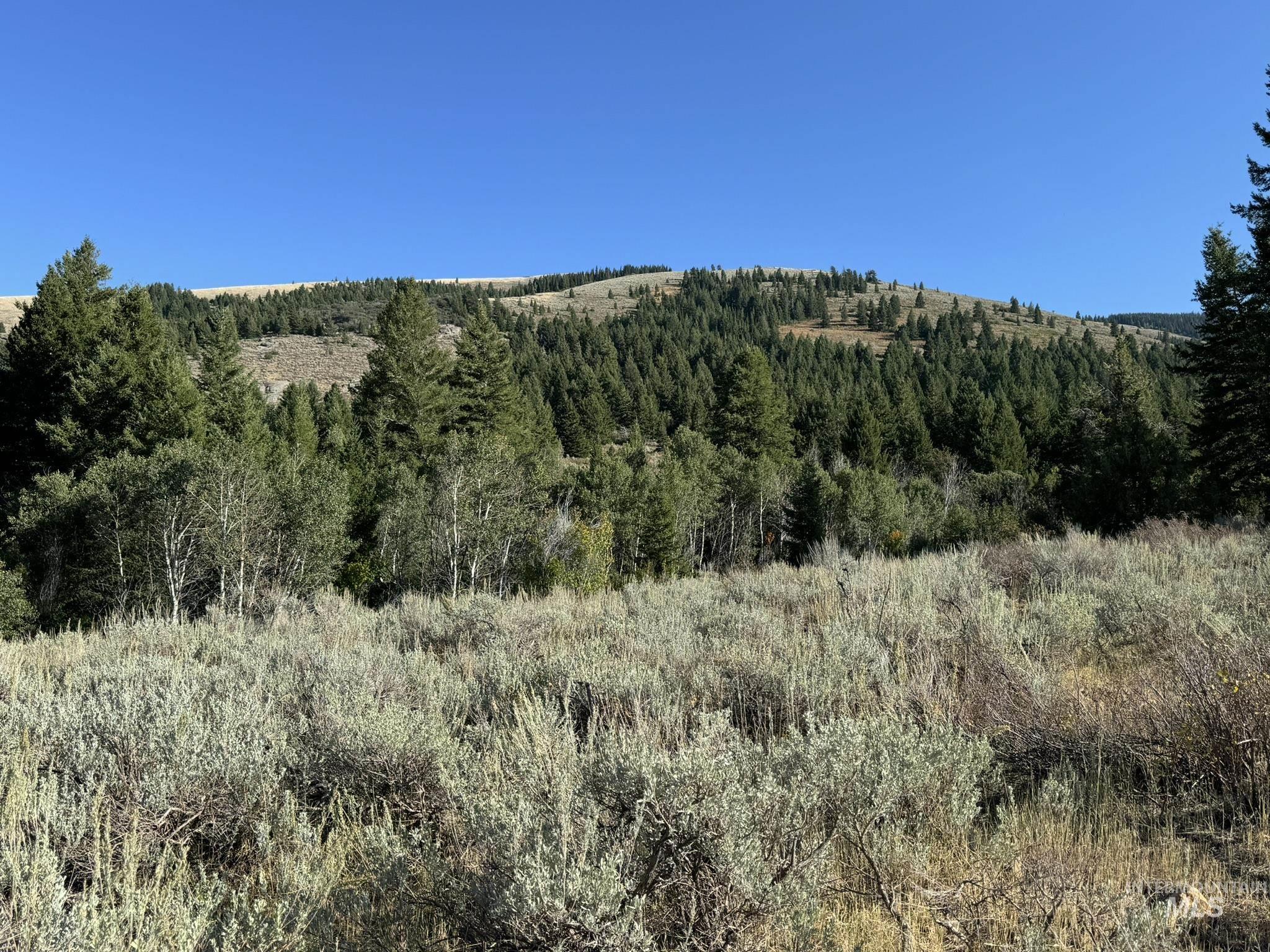 1200 S Lands Creek Road Property Photo 17
