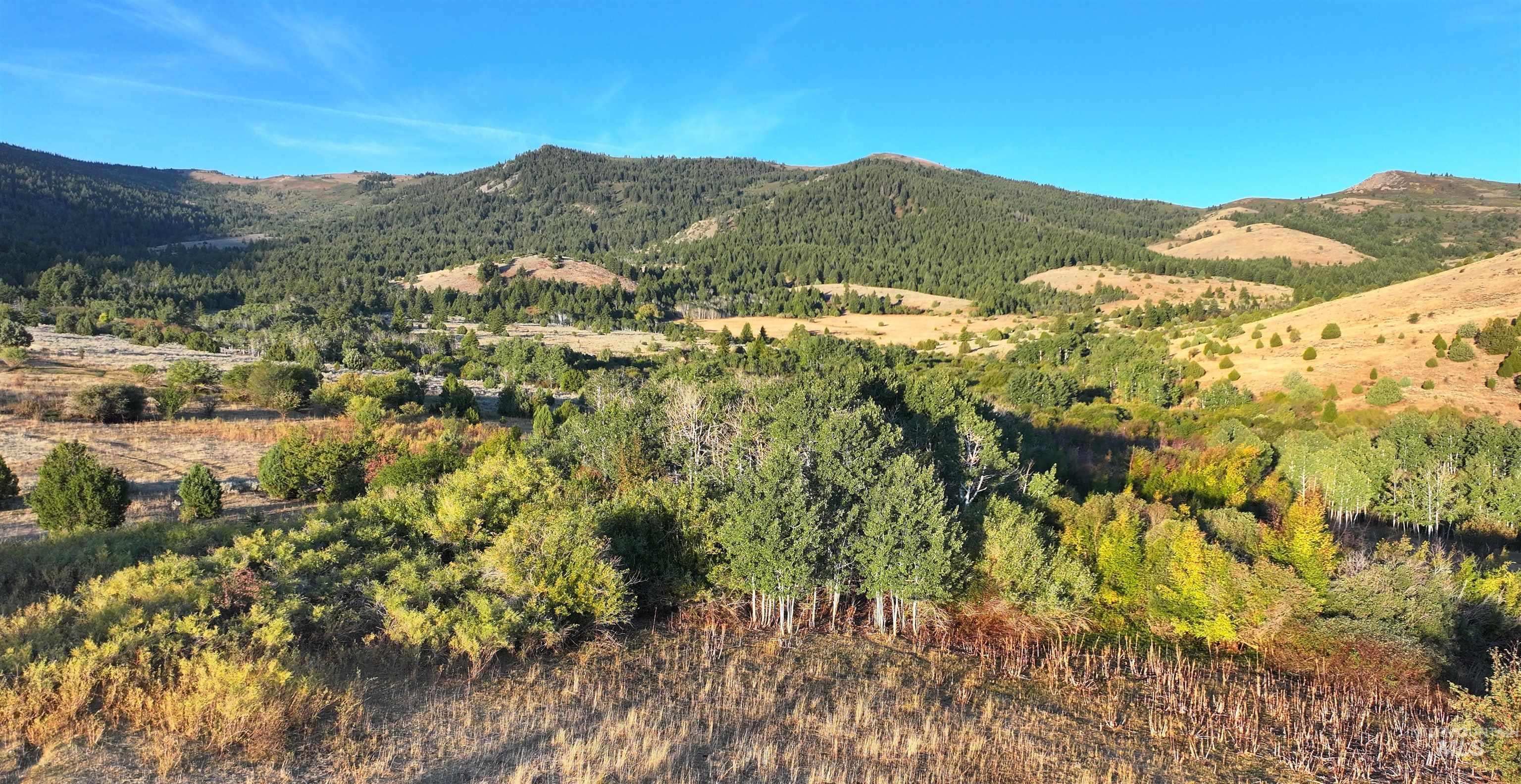 1200 S Lands Creek Road Property Photo 19