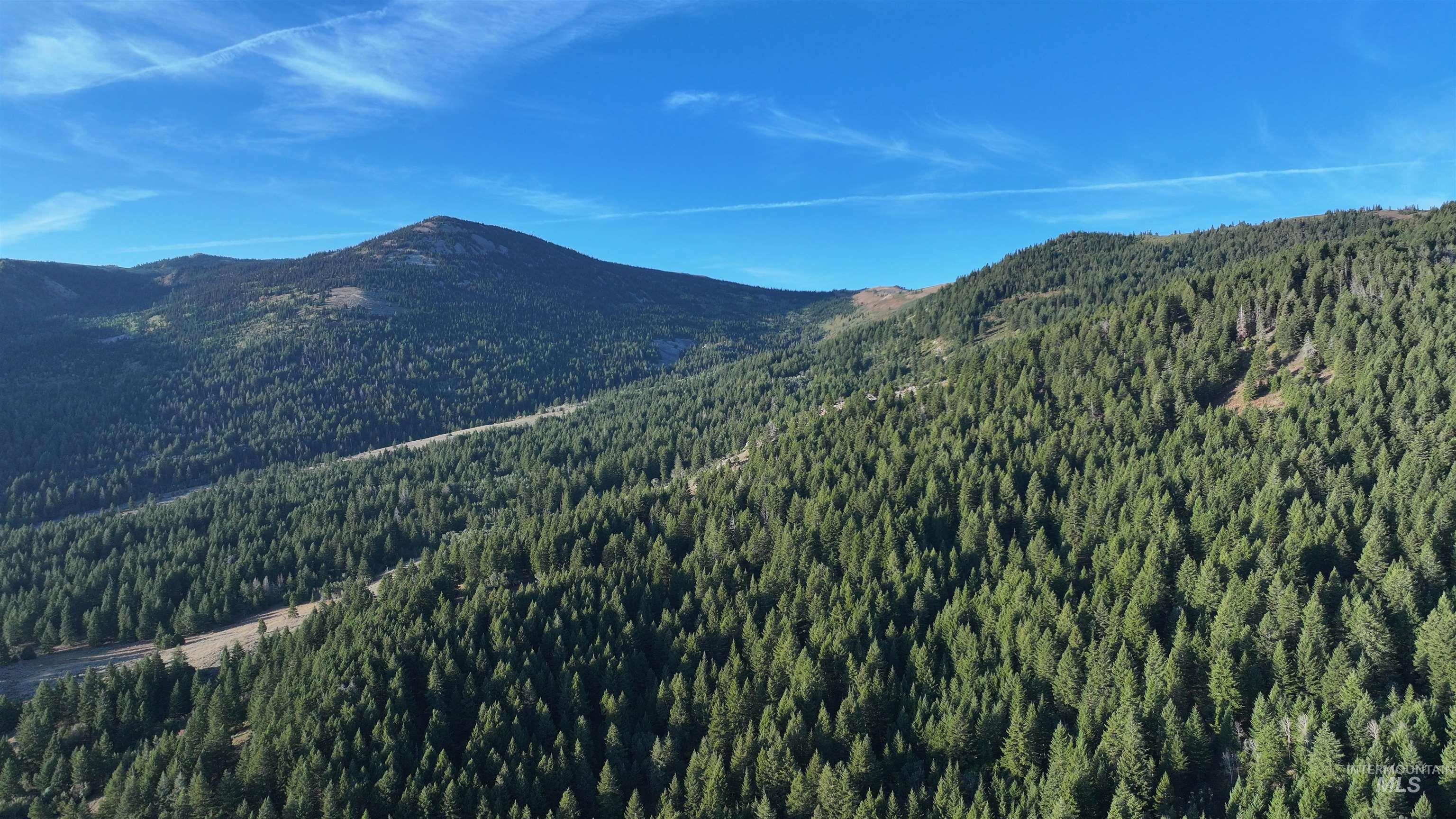 1200 S Lands Creek Road Property Photo 21