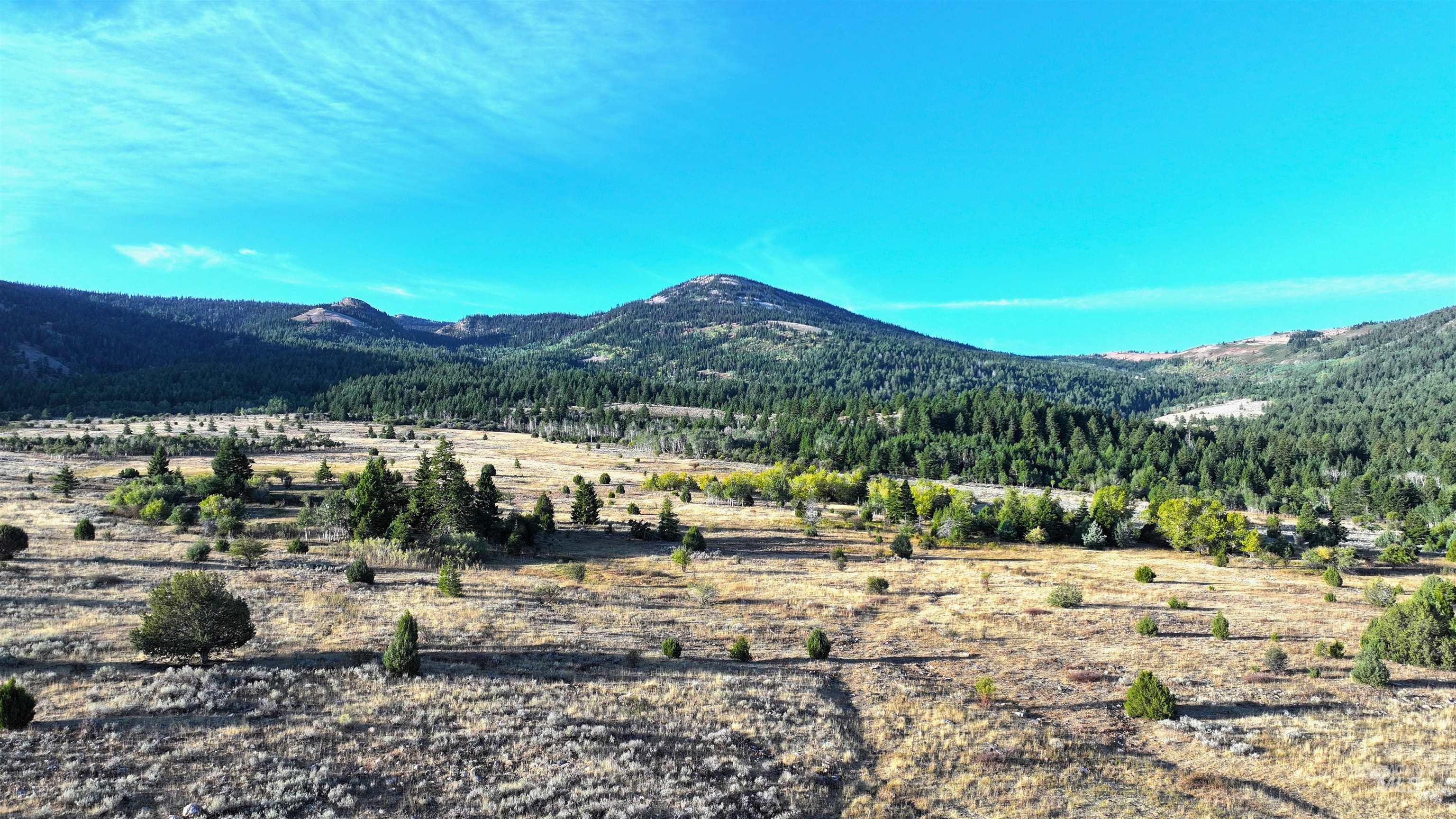1200 S Lands Creek Road Property Photo 23