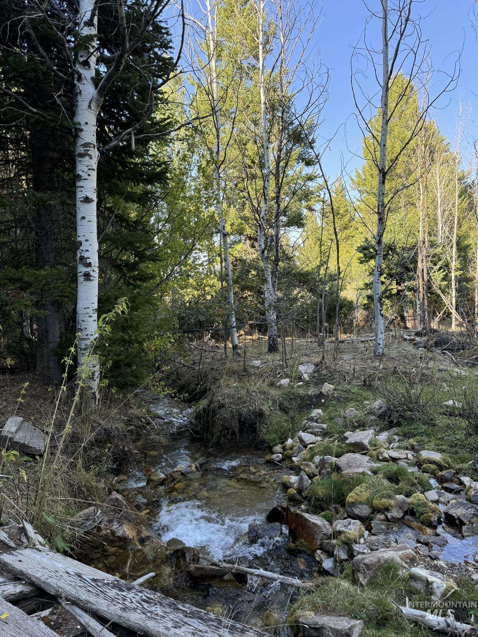 1200 S Lands Creek Road Property Photo 31