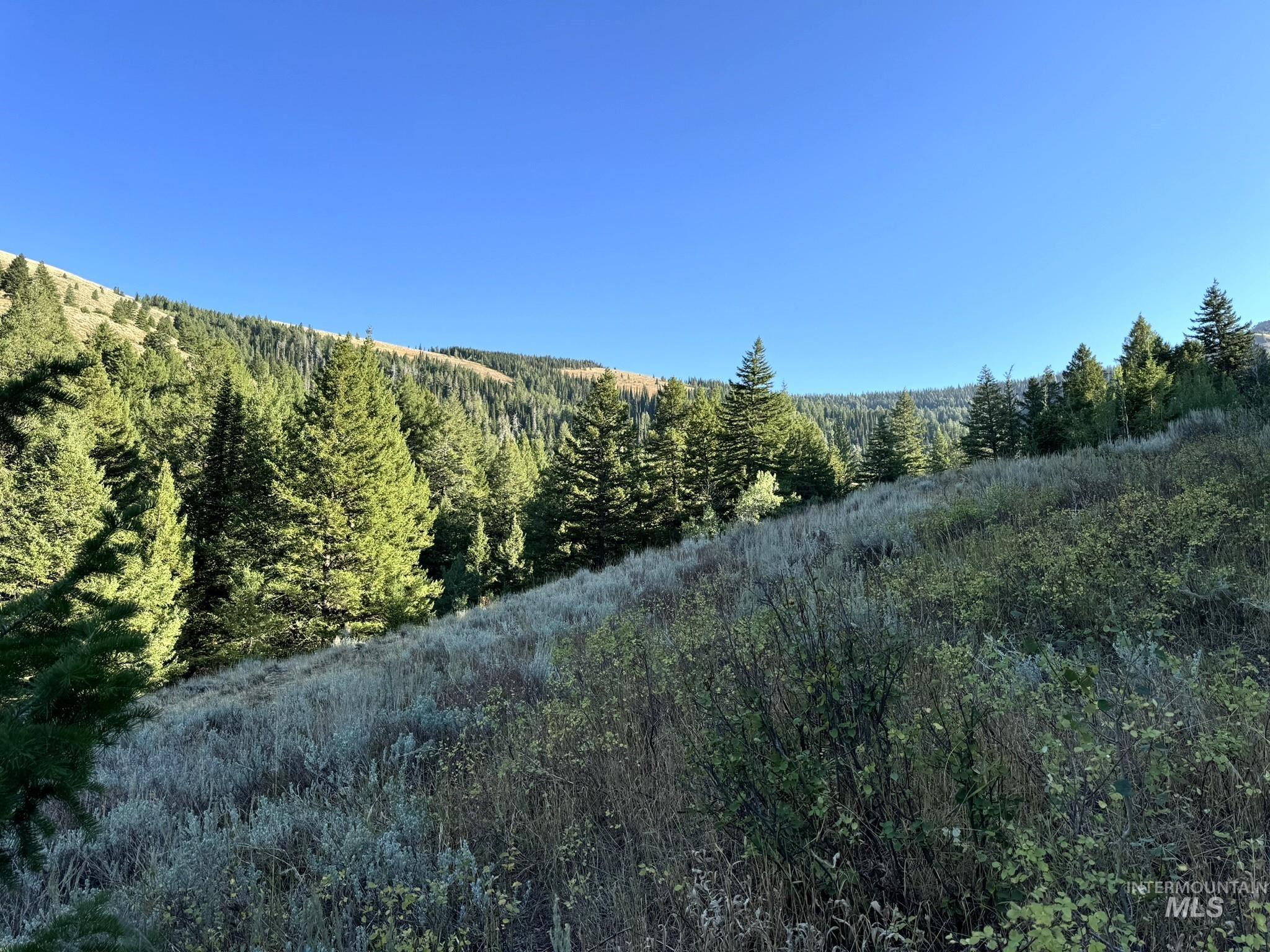 1200 S Lands Creek Road Property Photo 33