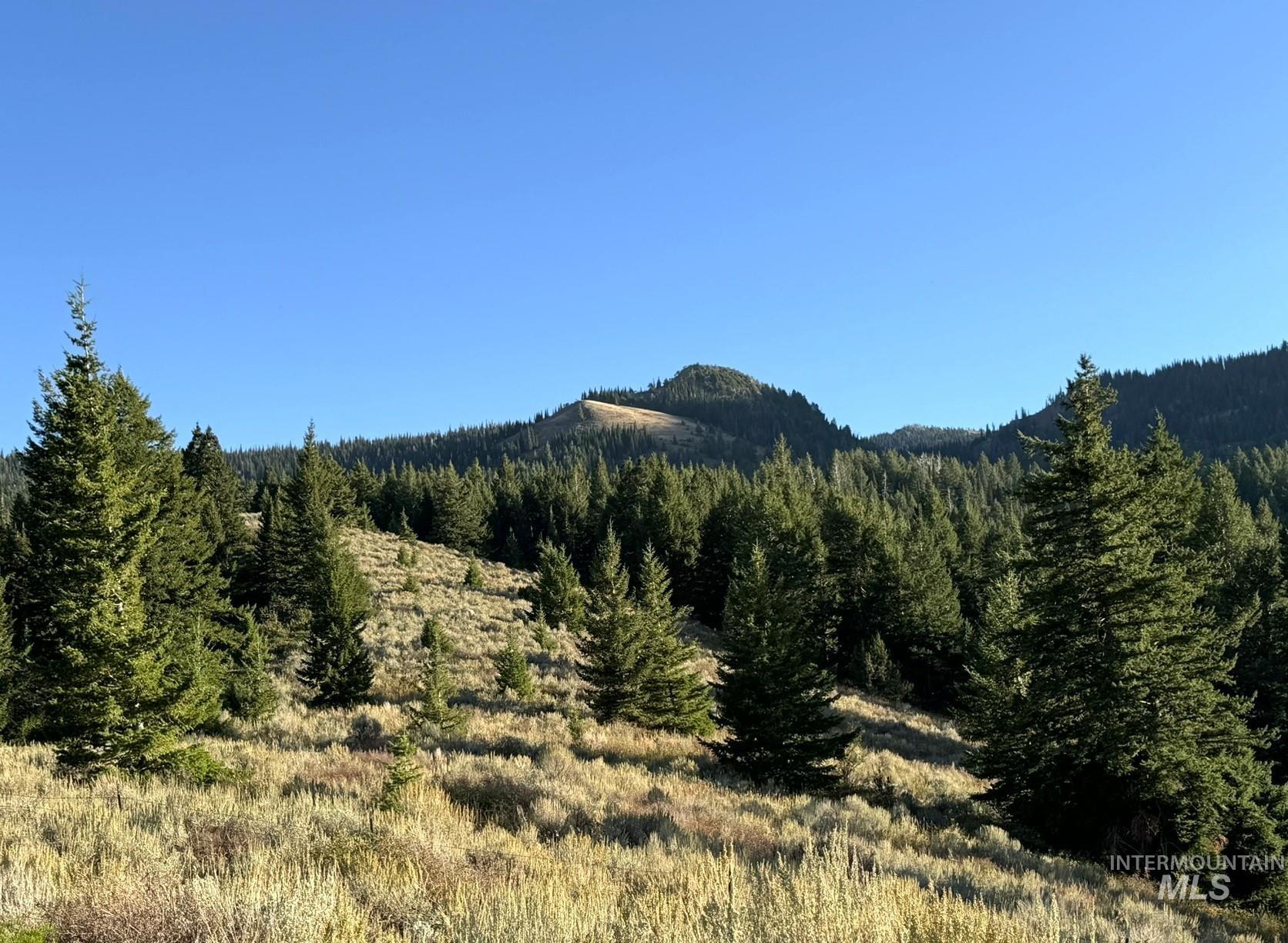 1200 S Lands Creek Road Property Photo 35