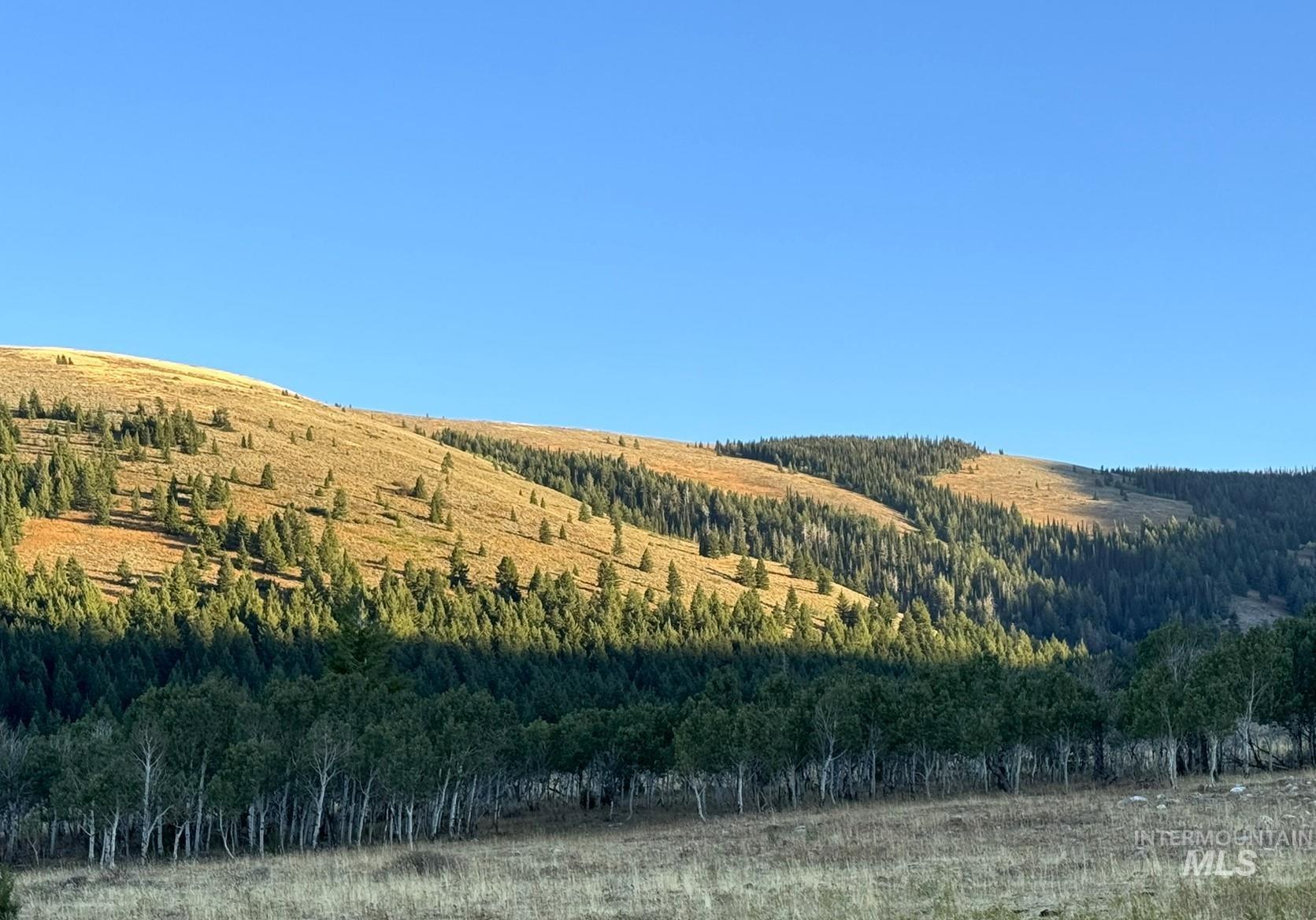 1200 S Lands Creek Road Property Photo 36