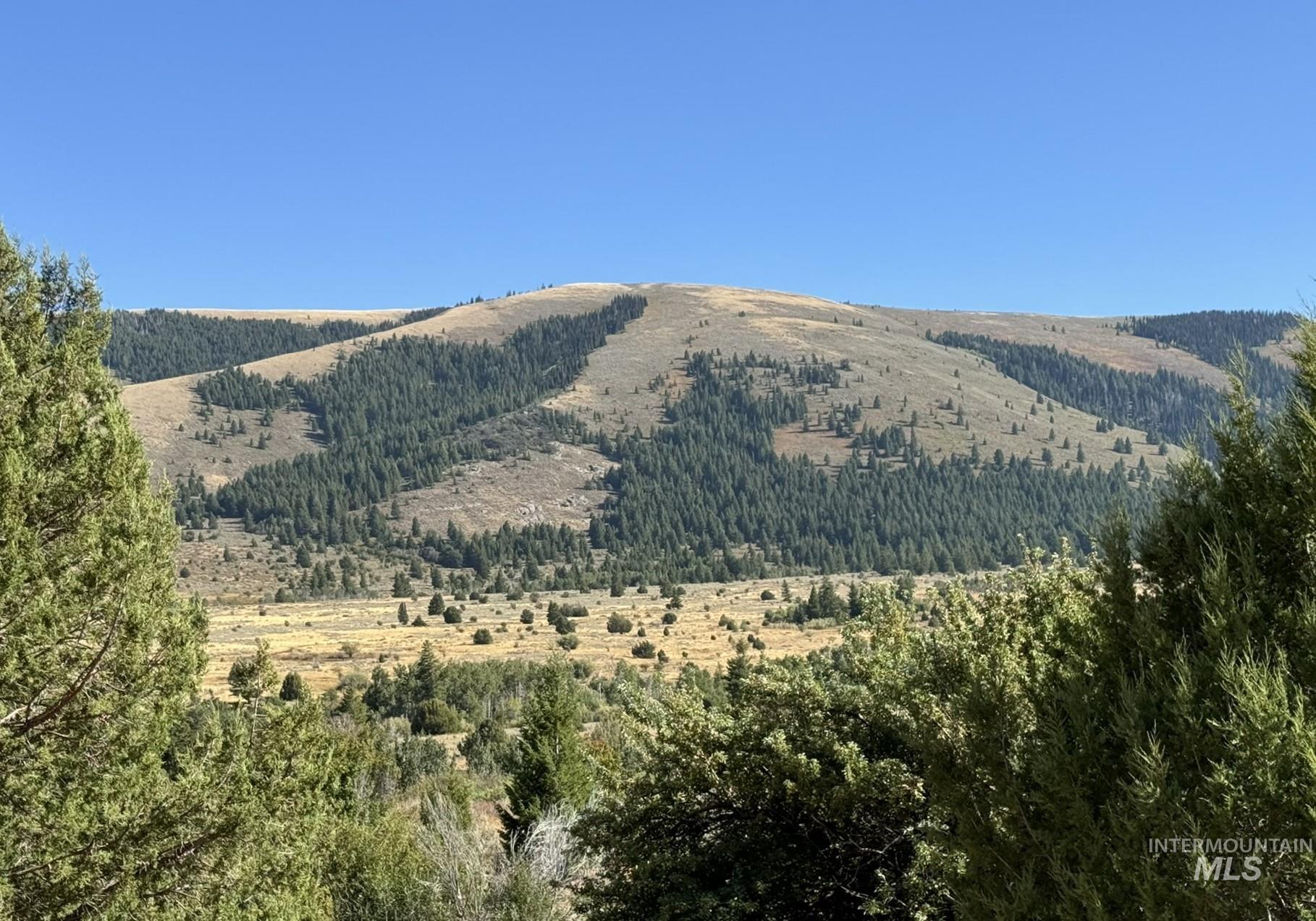 1200 S Lands Creek Road Property Photo 38