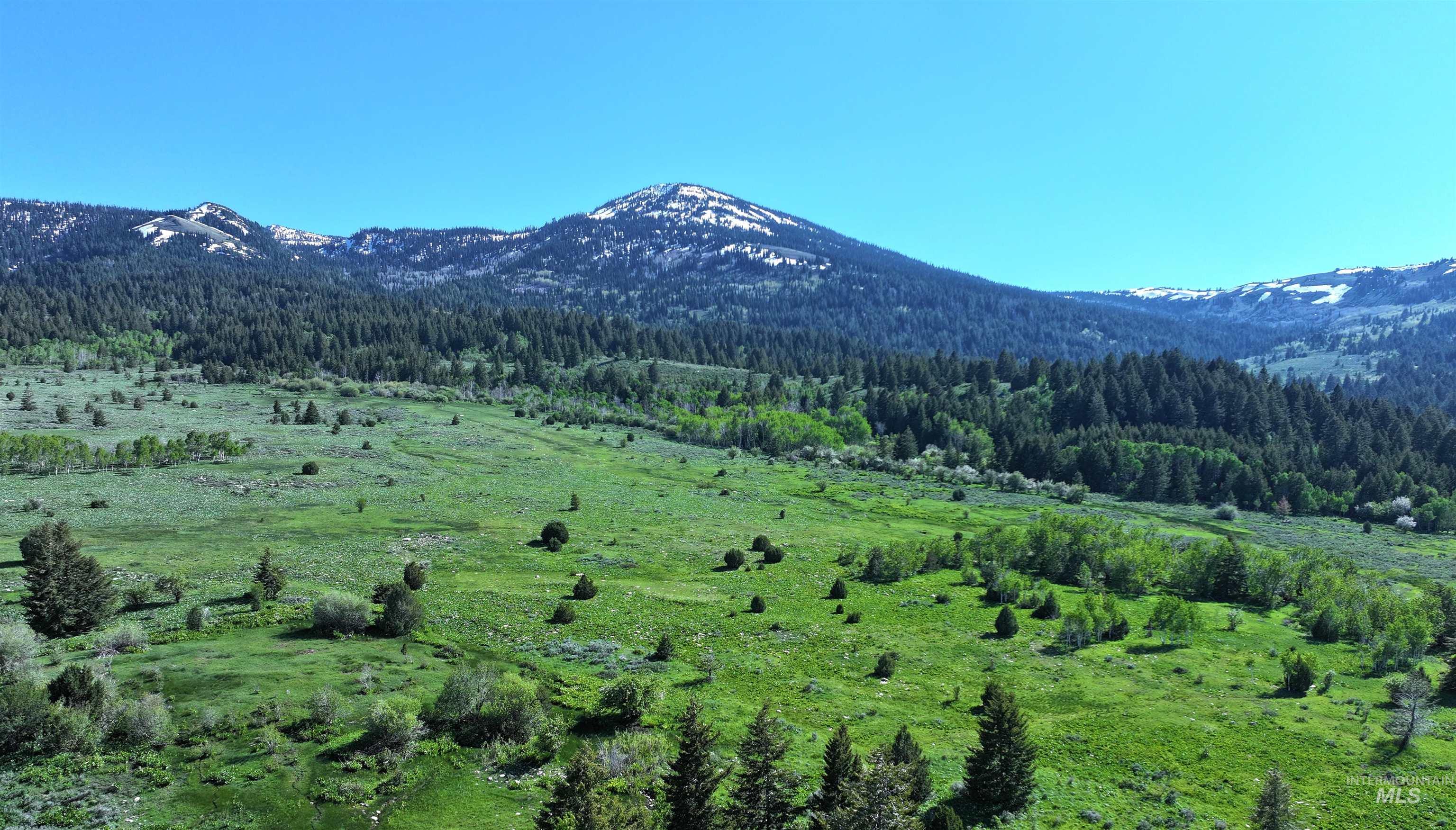 1200 S Lands Creek Road Property Photo 39