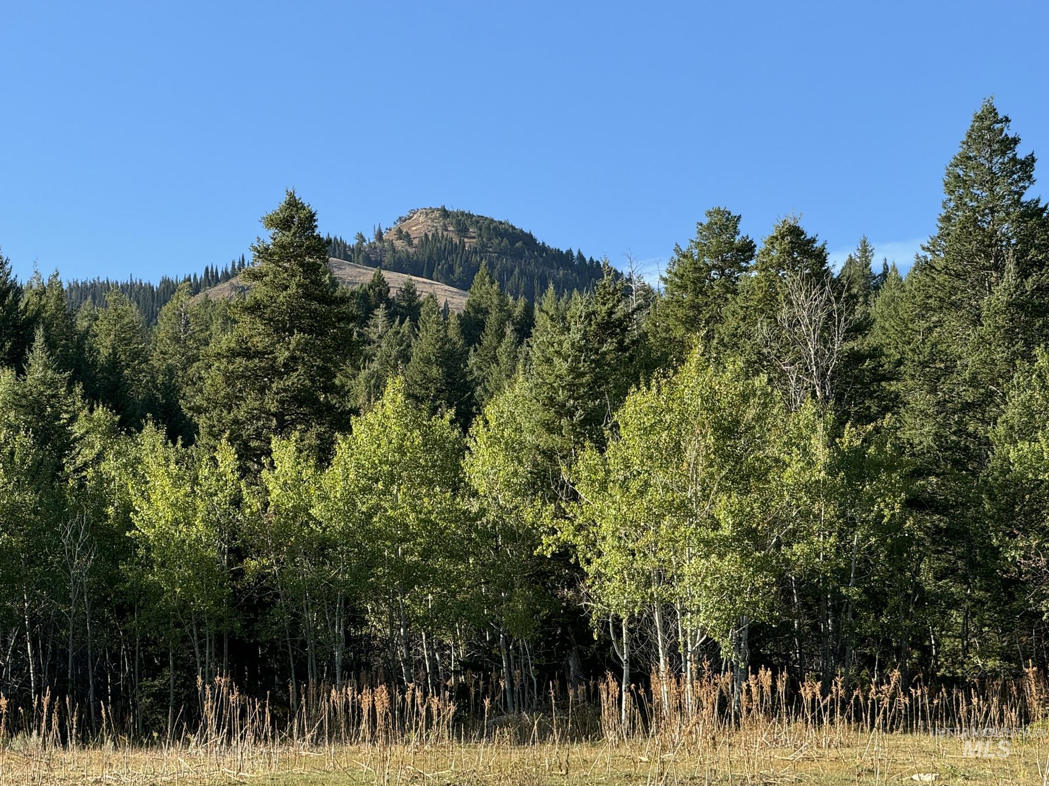 1200 S Lands Creek Road Property Photo 40