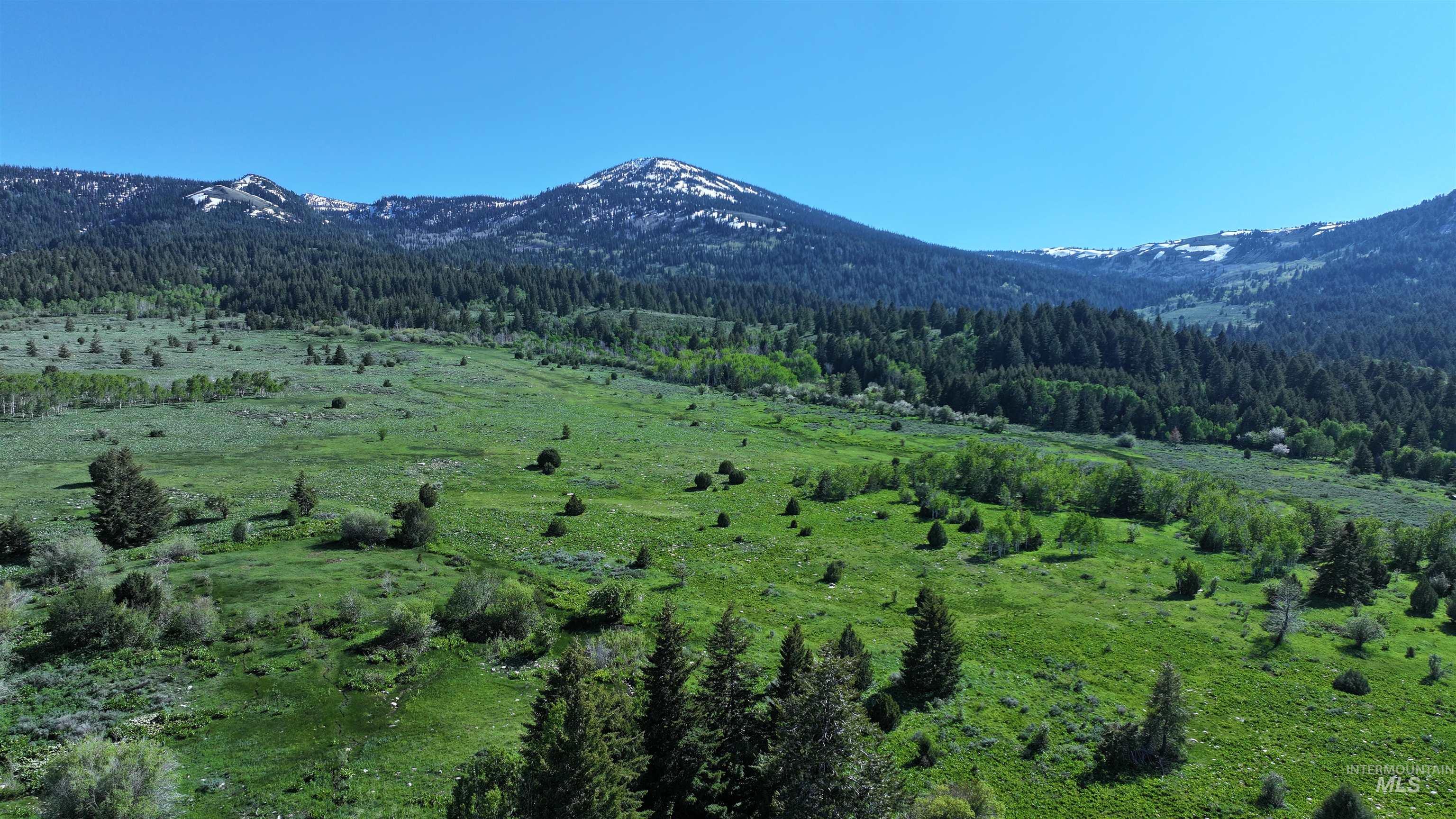 1200 S Lands Creek Road Property Photo 46