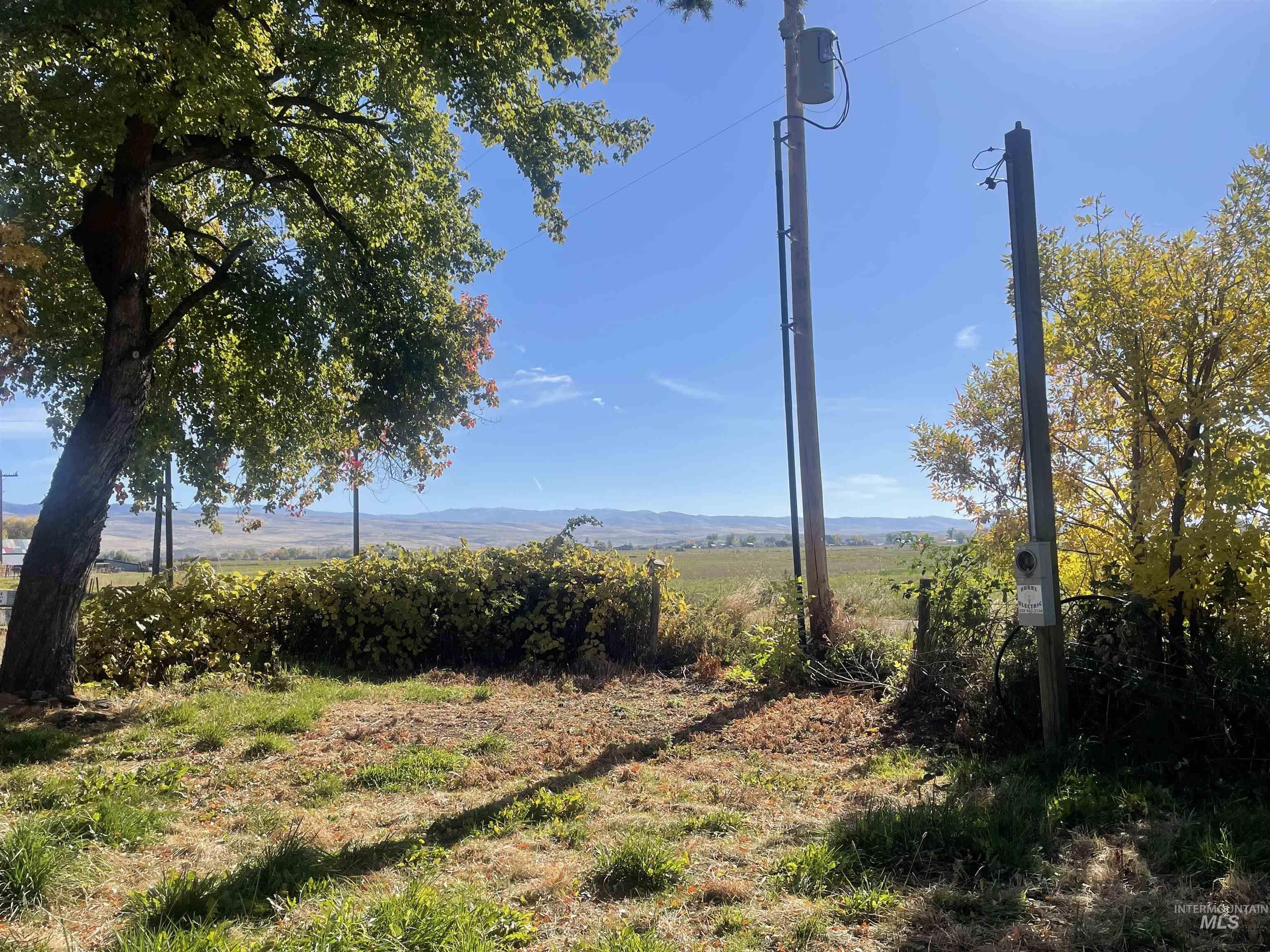 2250 Moritz Ln Property Photo 14