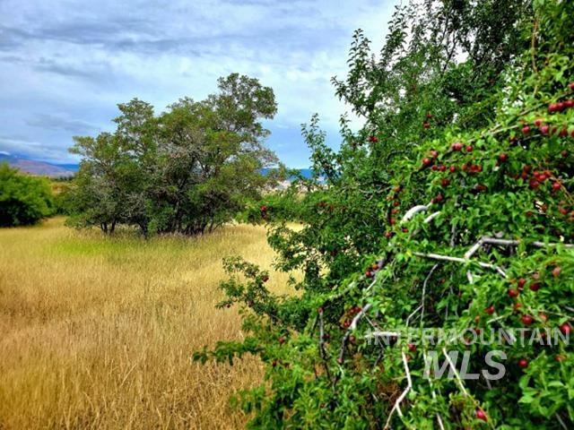 Tbd Mesa Rd Property Photo 5