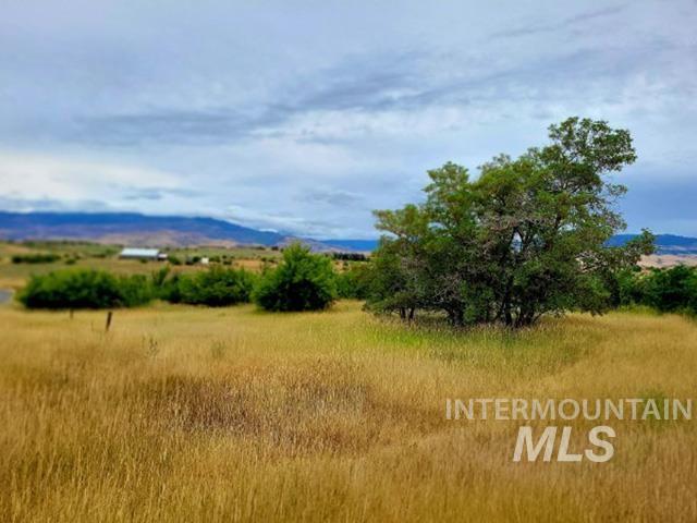 Tbd Mesa Rd Property Photo 6