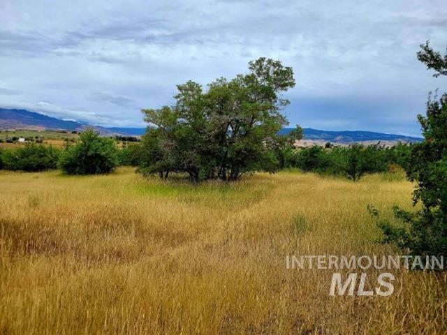 Tbd Mesa Rd Property Photo 7