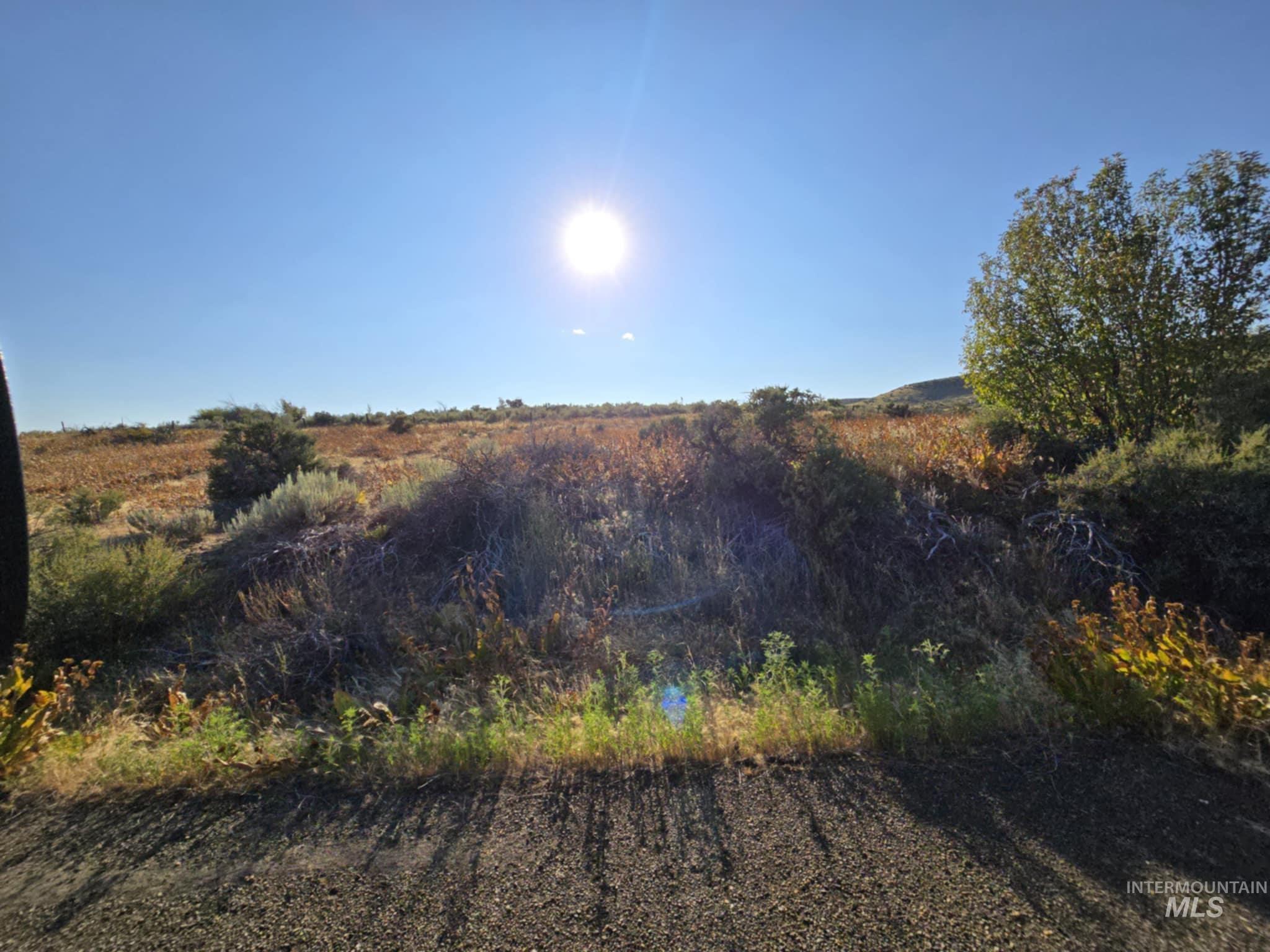 Tbd Highway 95 - 10.81 Ac Property Photo 5