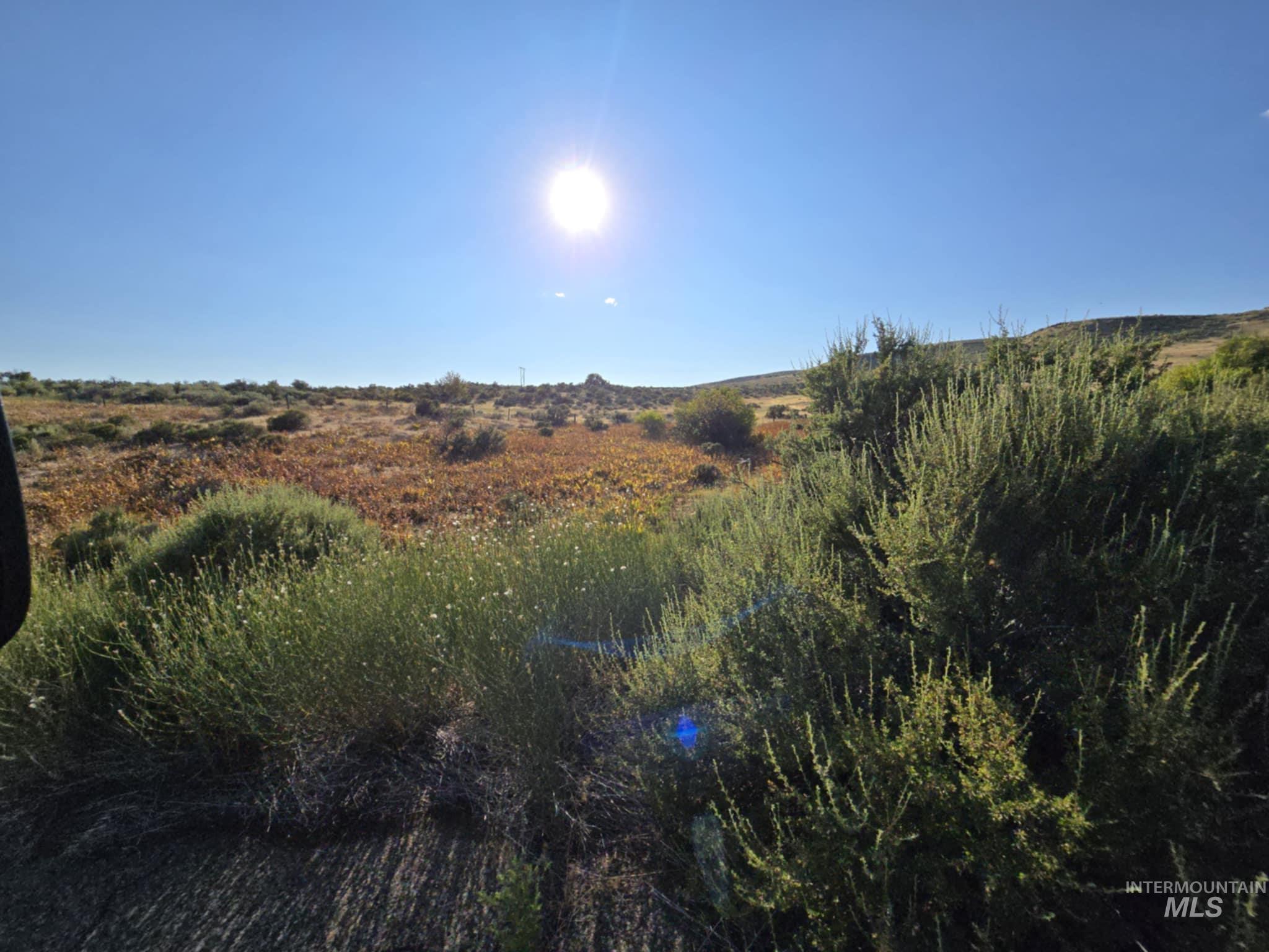 Tbd Highway 95 - 10.81 Ac Property Photo 9