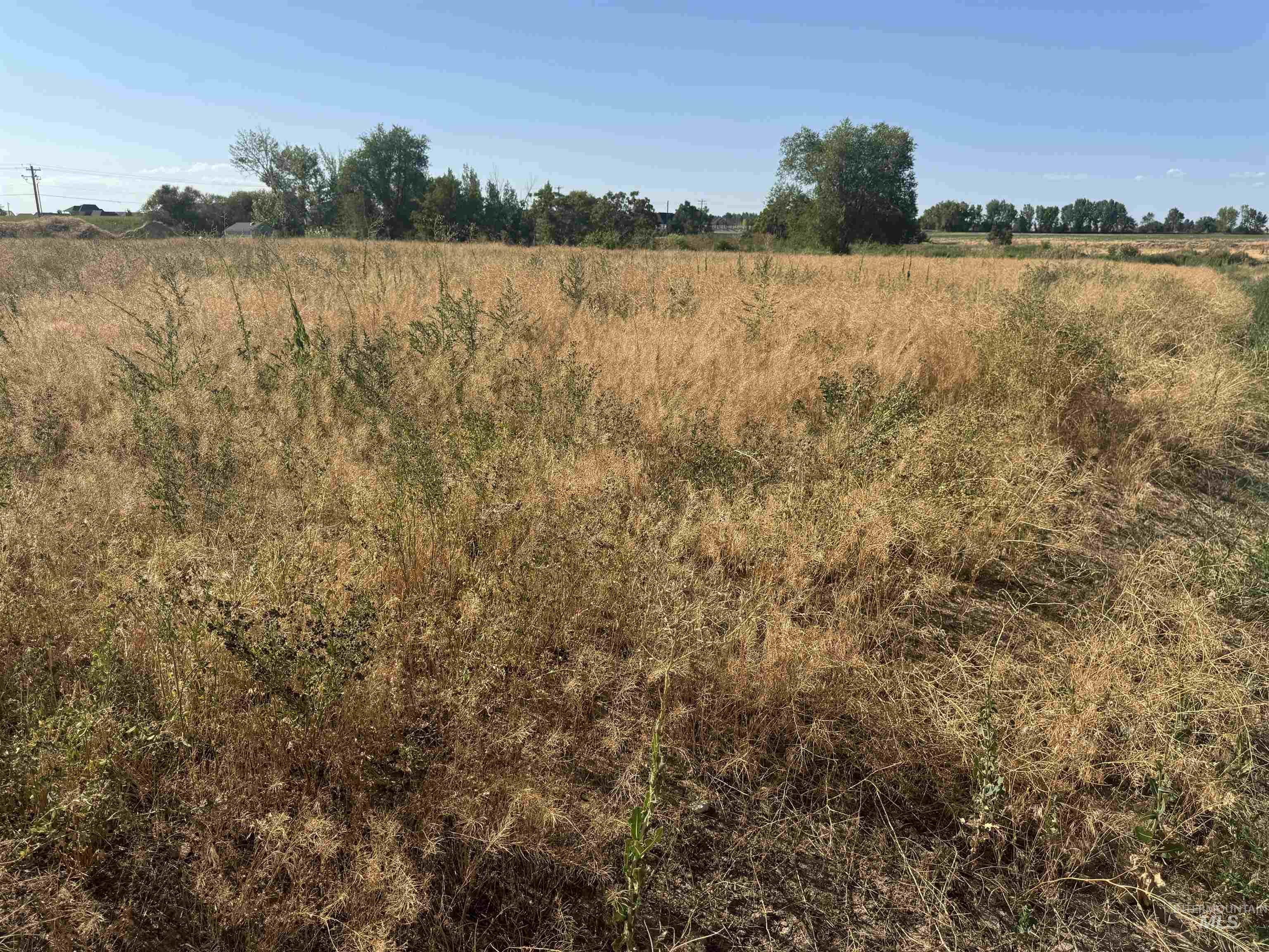 8840 Curly Red Dr Property Photo 1