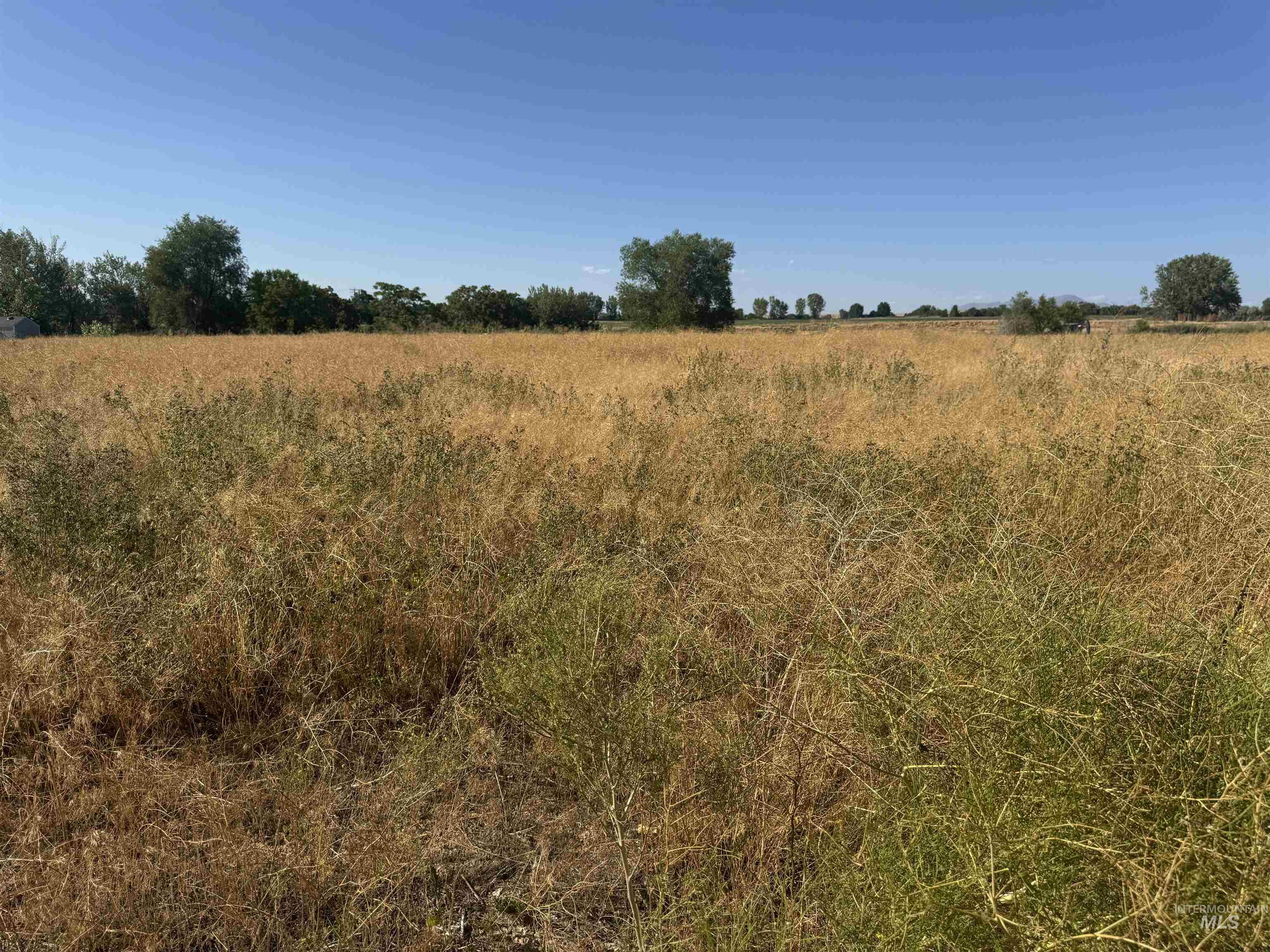 8840 Curly Red Dr Property Photo 3