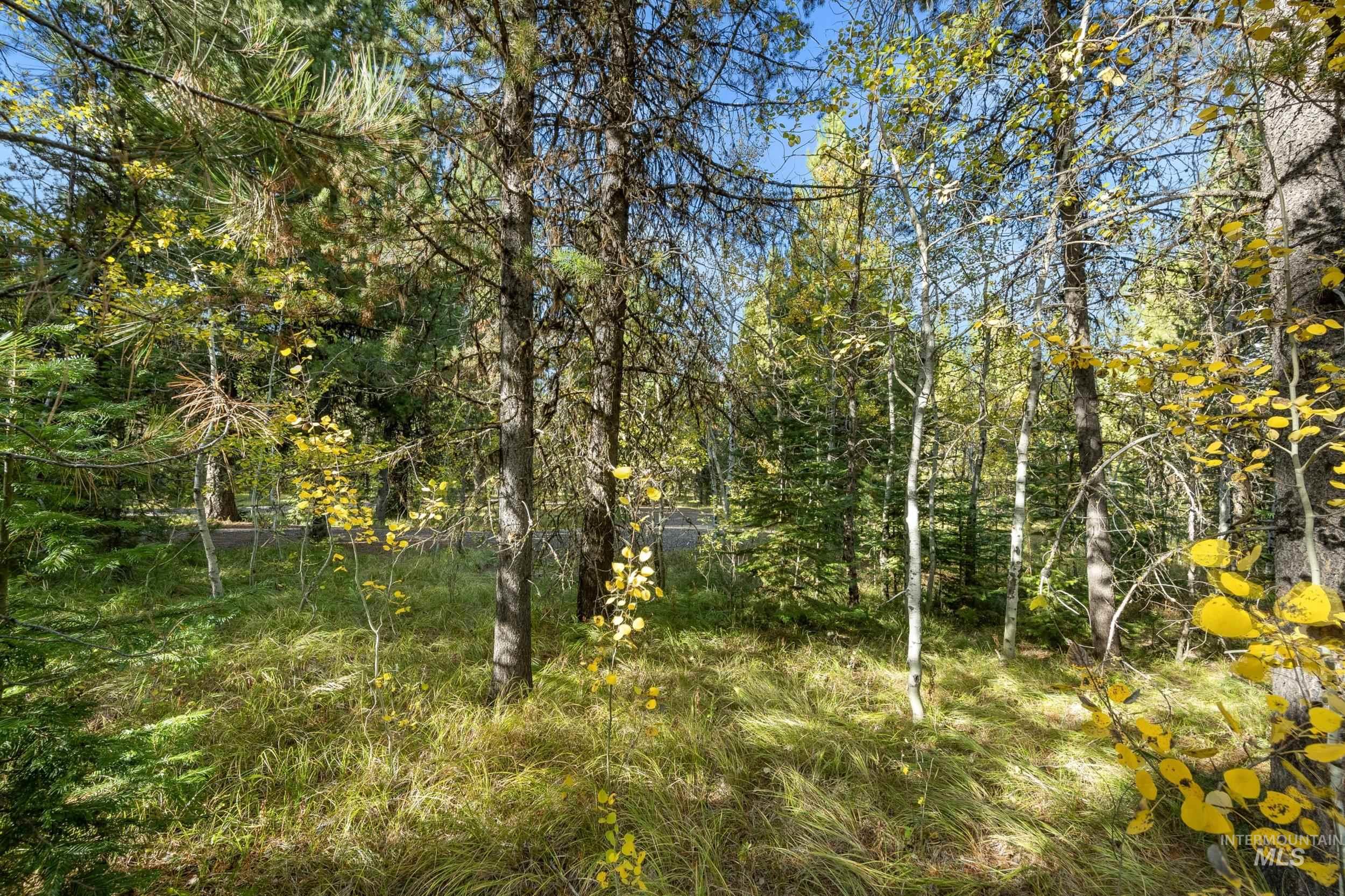 23 Thunderbolt Place Property Photo 10