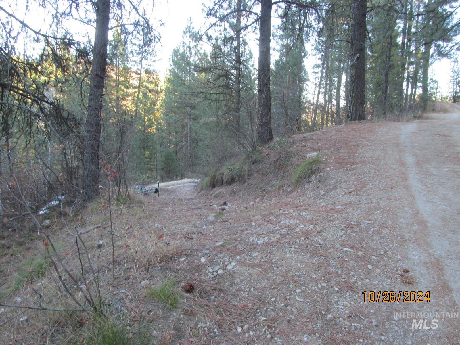 Tbd Lots 4 & 5 Johnson Creek Road Property Photo 1