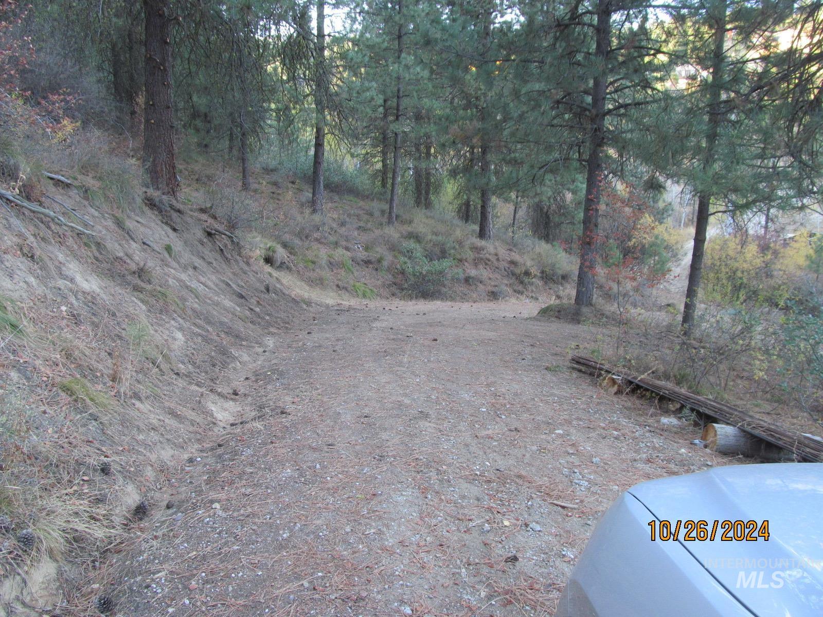 Tbd Lots 4 & 5 Johnson Creek Road Property Photo 5