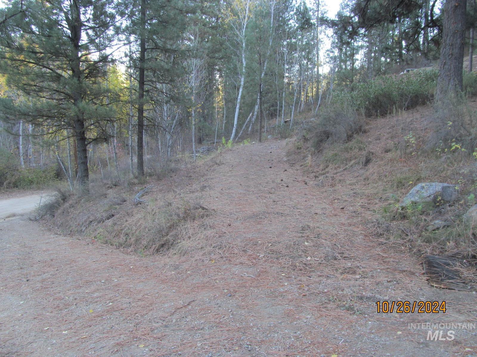 Tbd Lots 4 & 5 Johnson Creek Road Property Photo 8