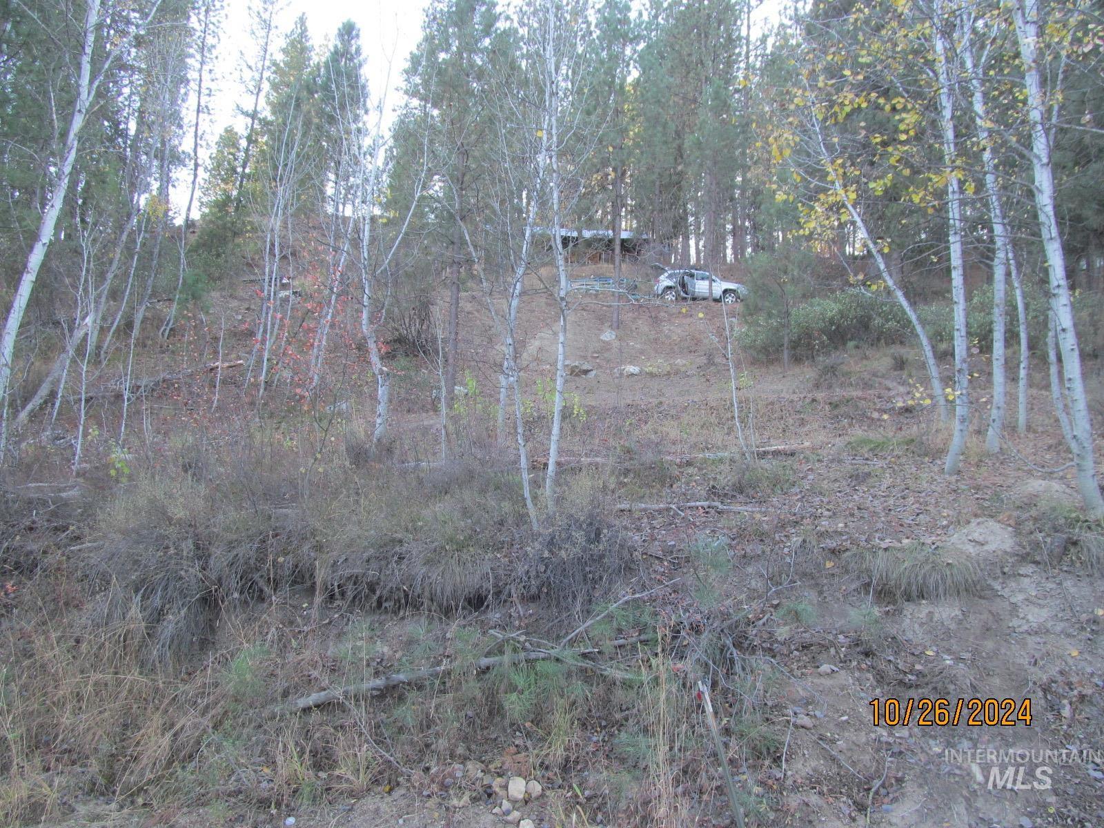 Tbd Lots 4 & 5 Johnson Creek Road Property Photo 11