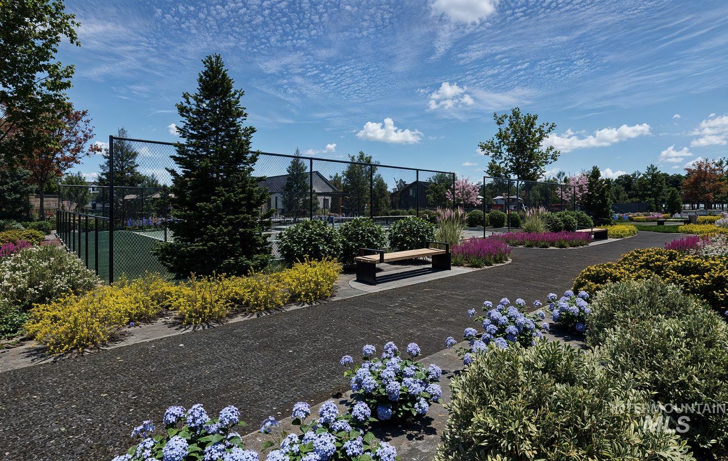 6753 N Magic Mallard Ave Property Photo 11