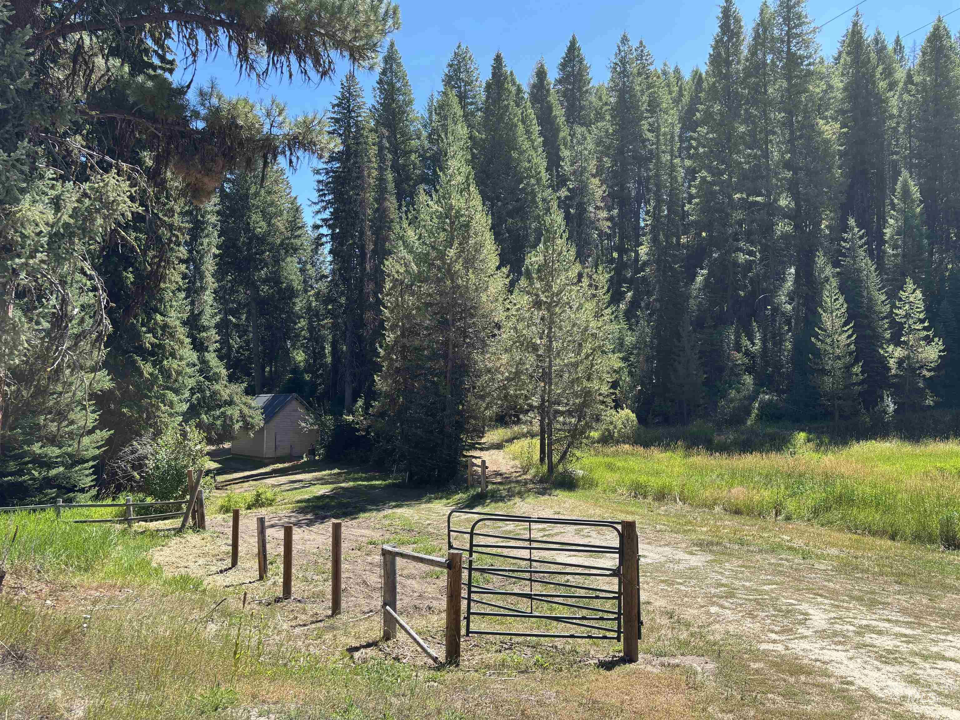 10324 Peterson Loop Property Photo 12