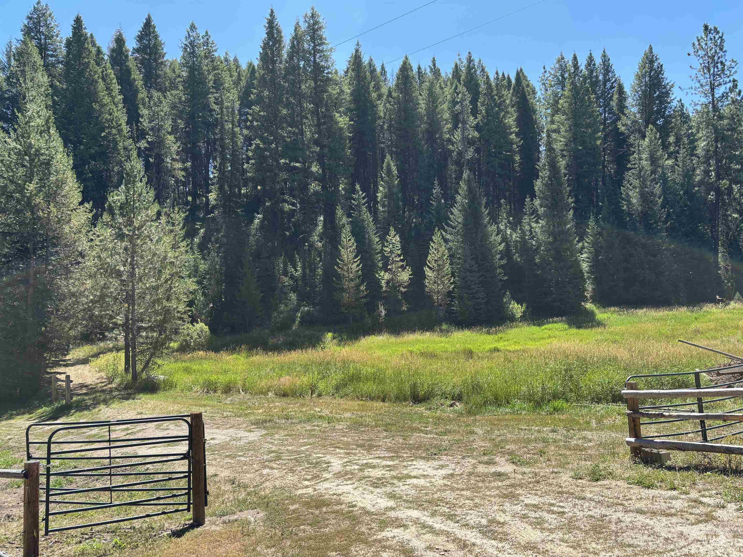 10324 Peterson Loop Property Photo 13