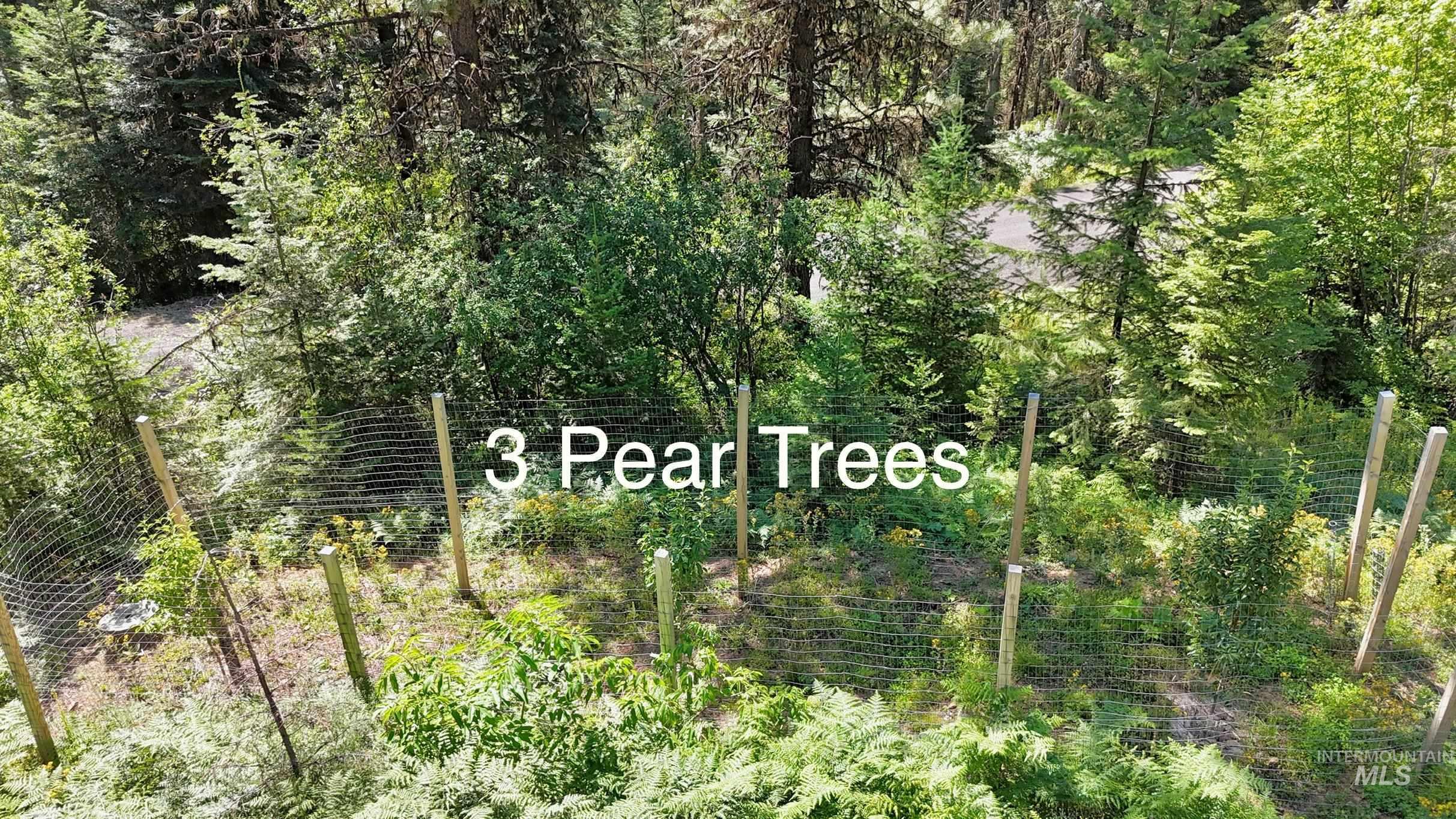 688 Cove Road Property Photo 34