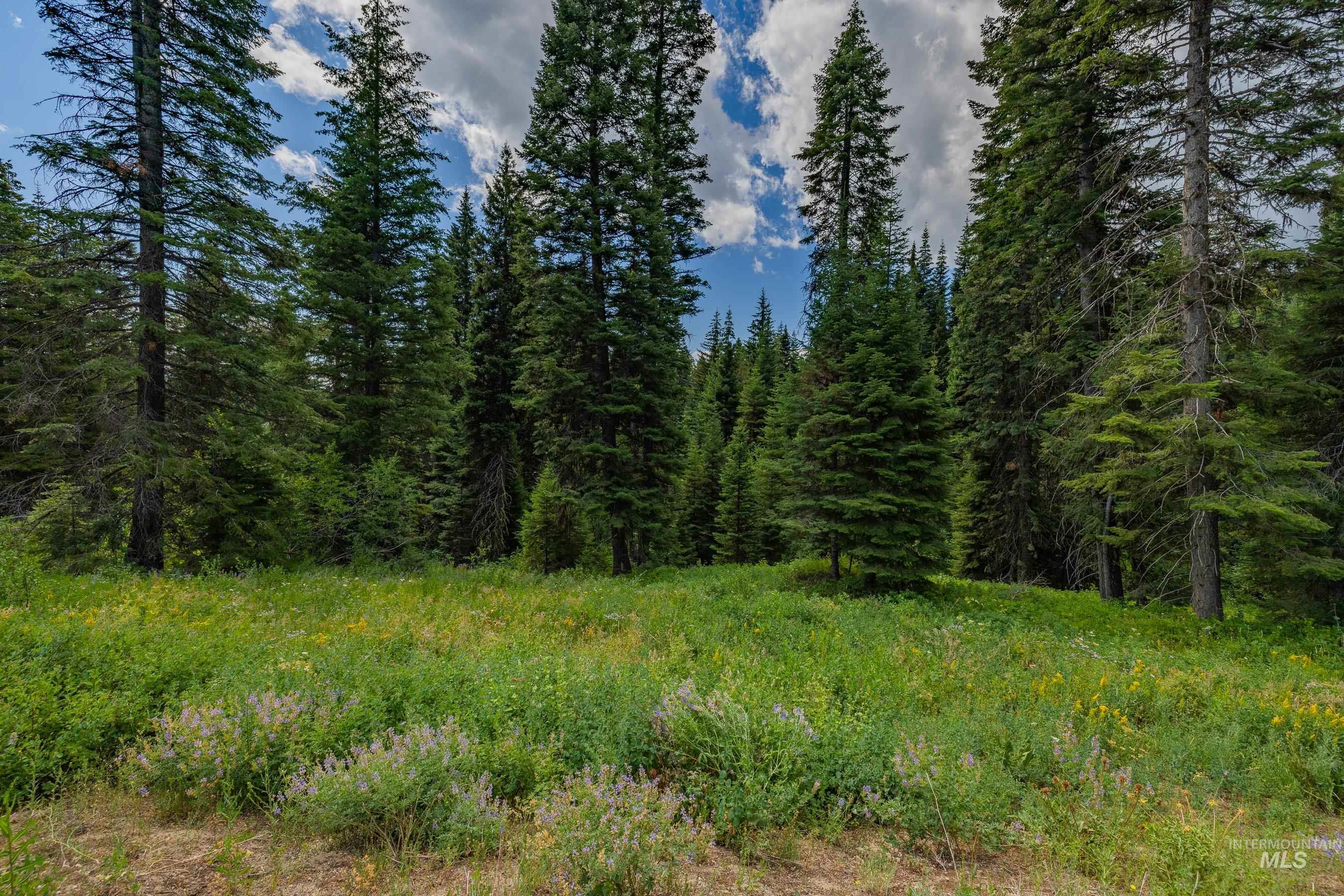 190 Pinnacle Place Property Photo 14