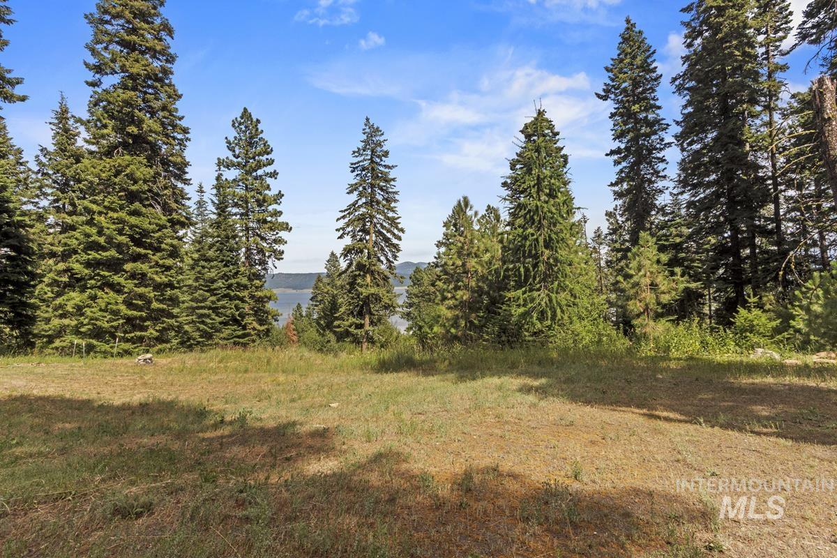 42 Burnt Wagon Trail Property Photo 3