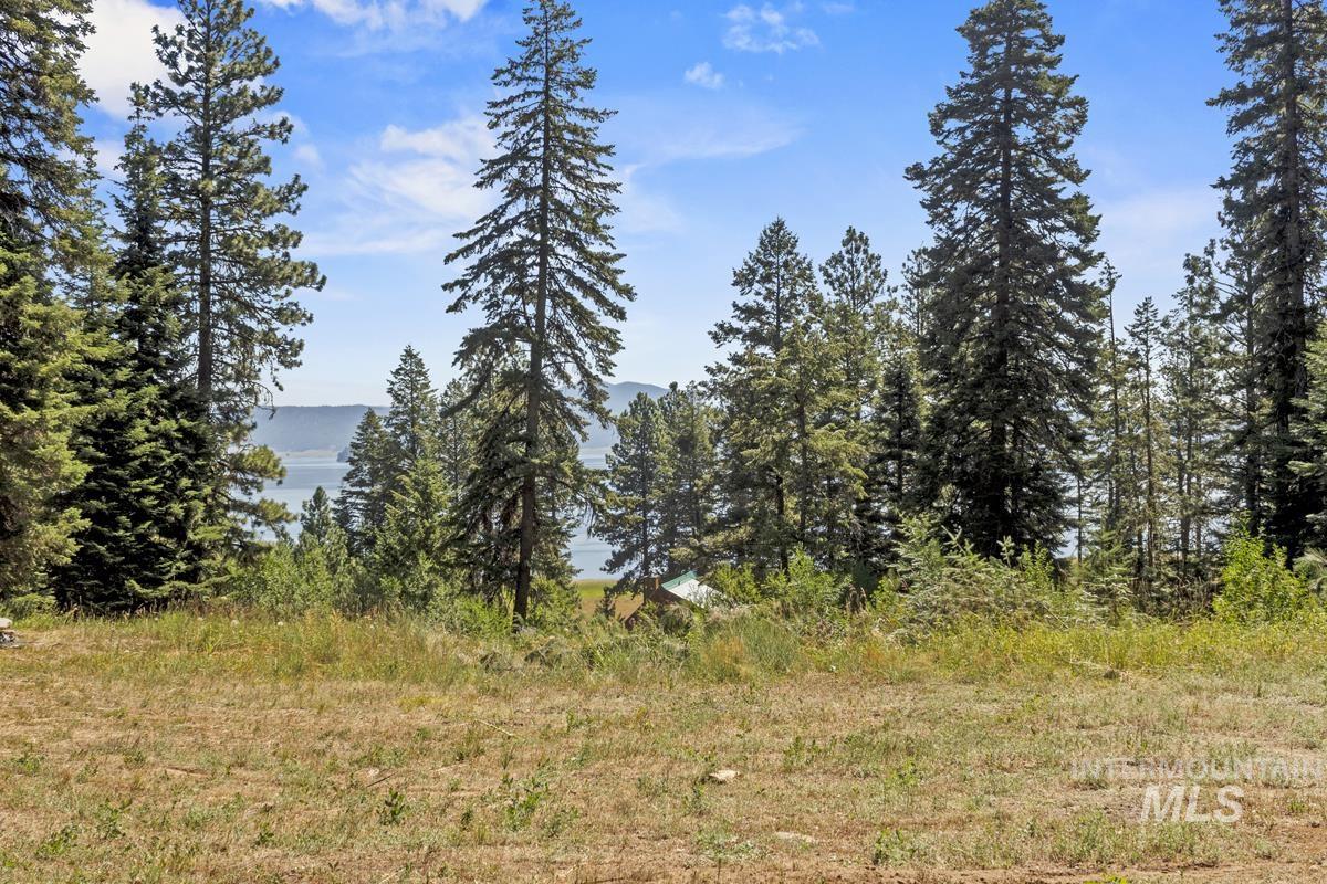 42 Burnt Wagon Trail Property Photo 4