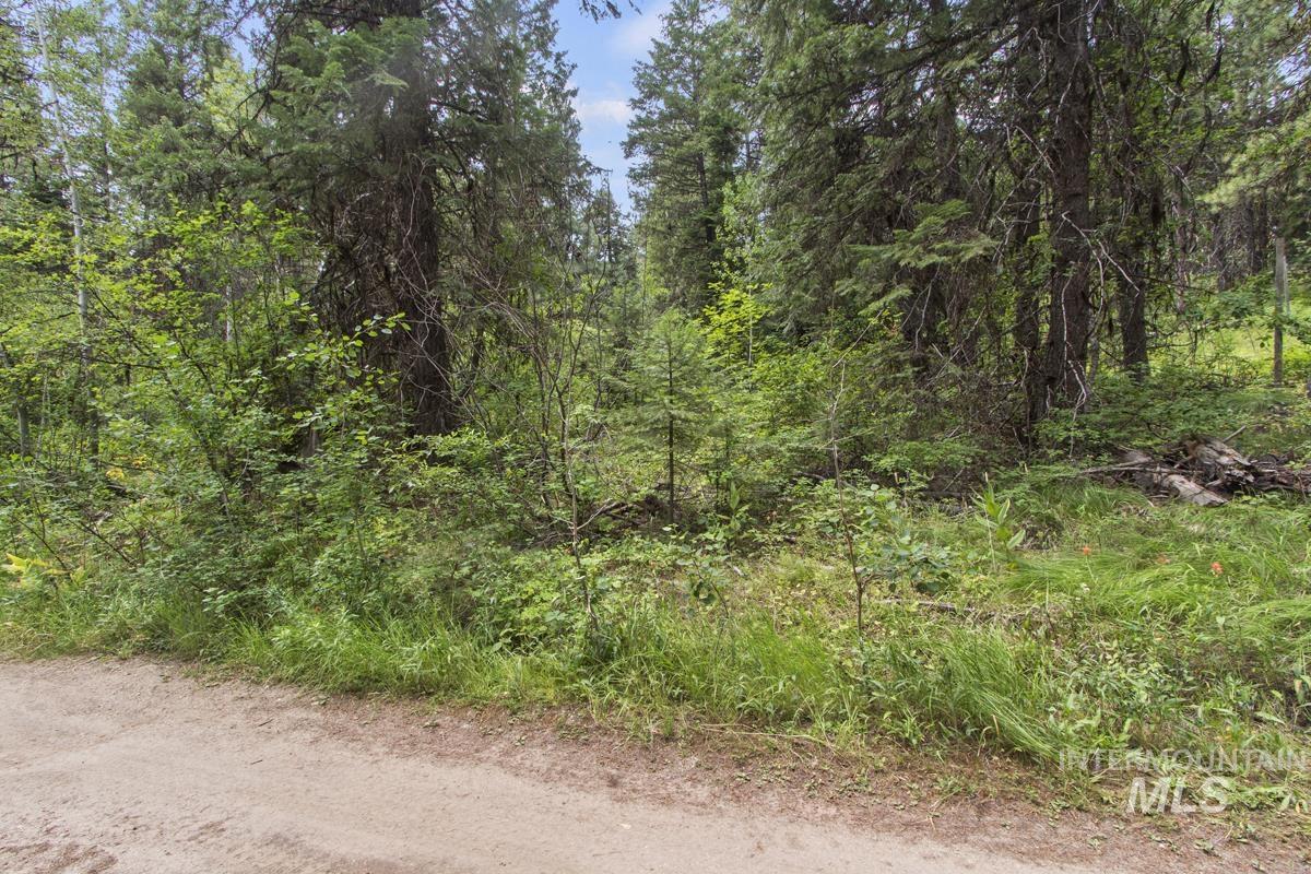 517 Susan Road Property Photo 1