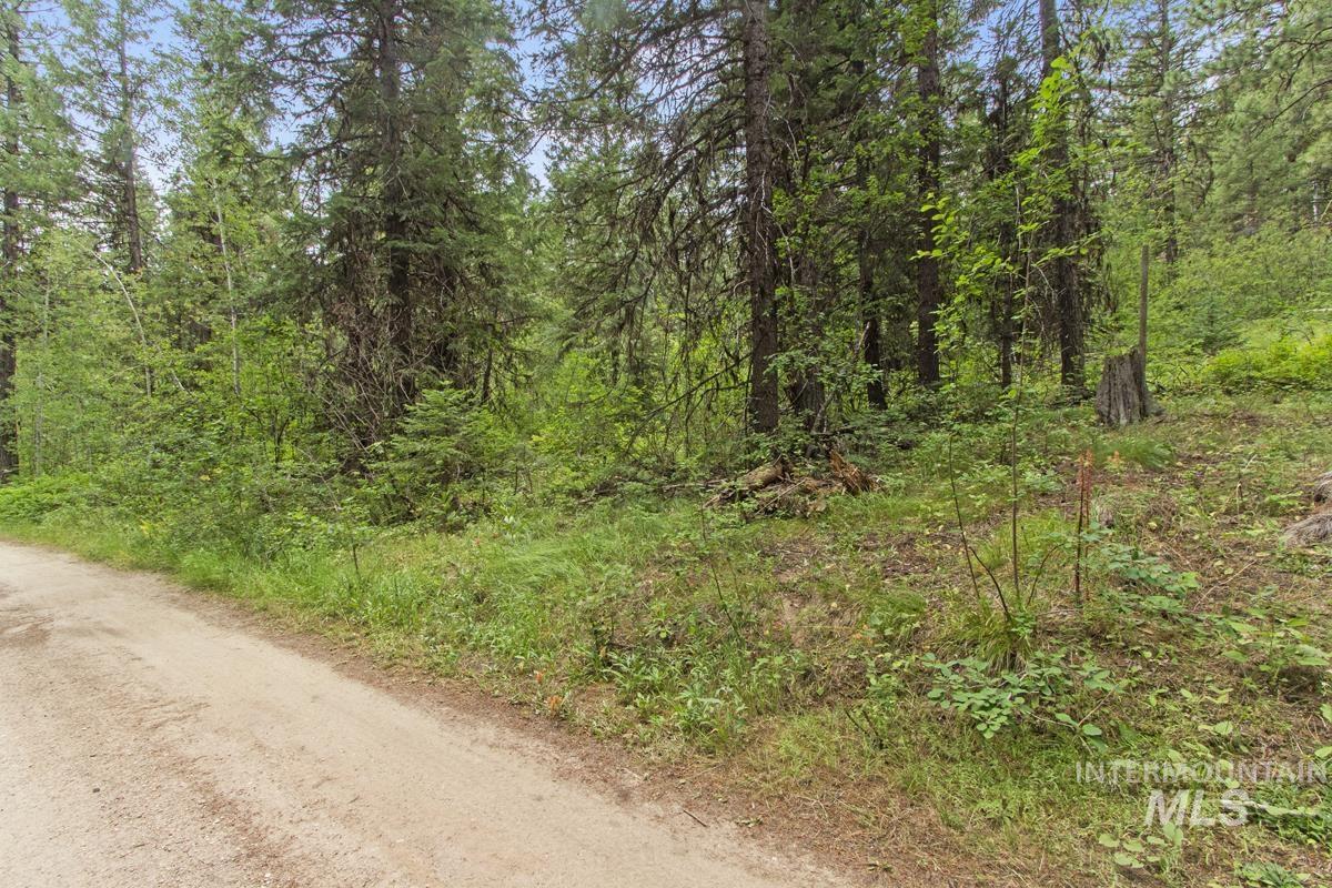 517 Susan Road Property Photo 2