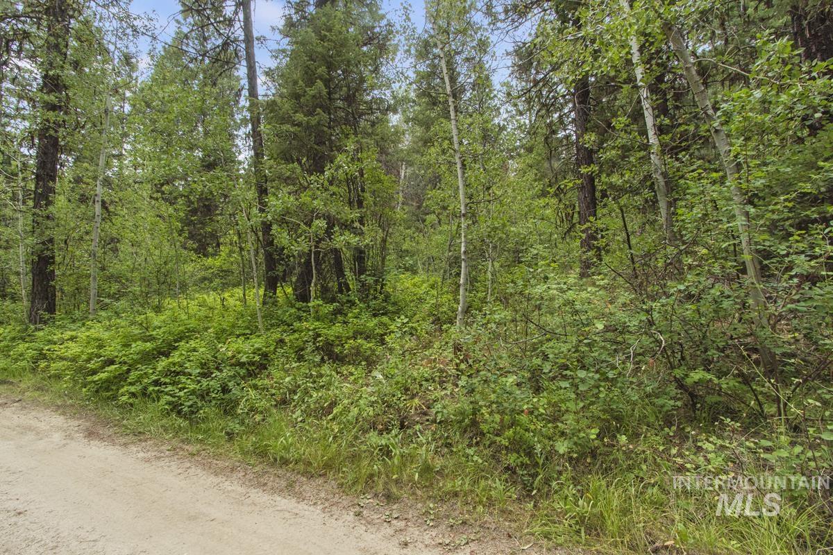 517 Susan Road Property Photo 4