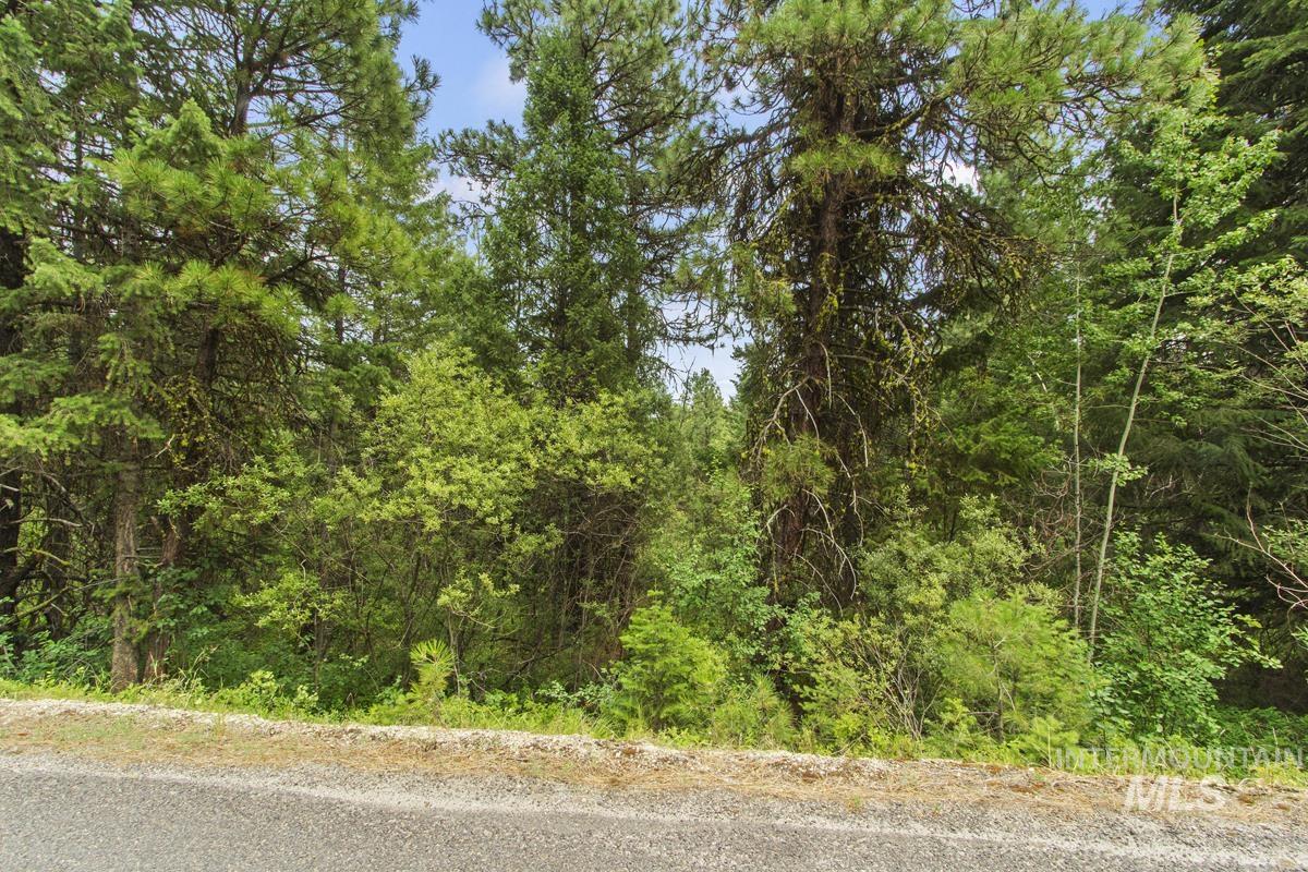 517 Susan Road Property Photo 6