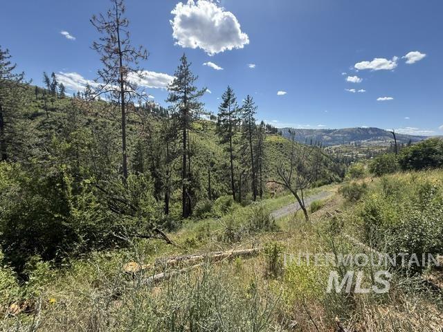 355 Glenwood Road Property Photo 6