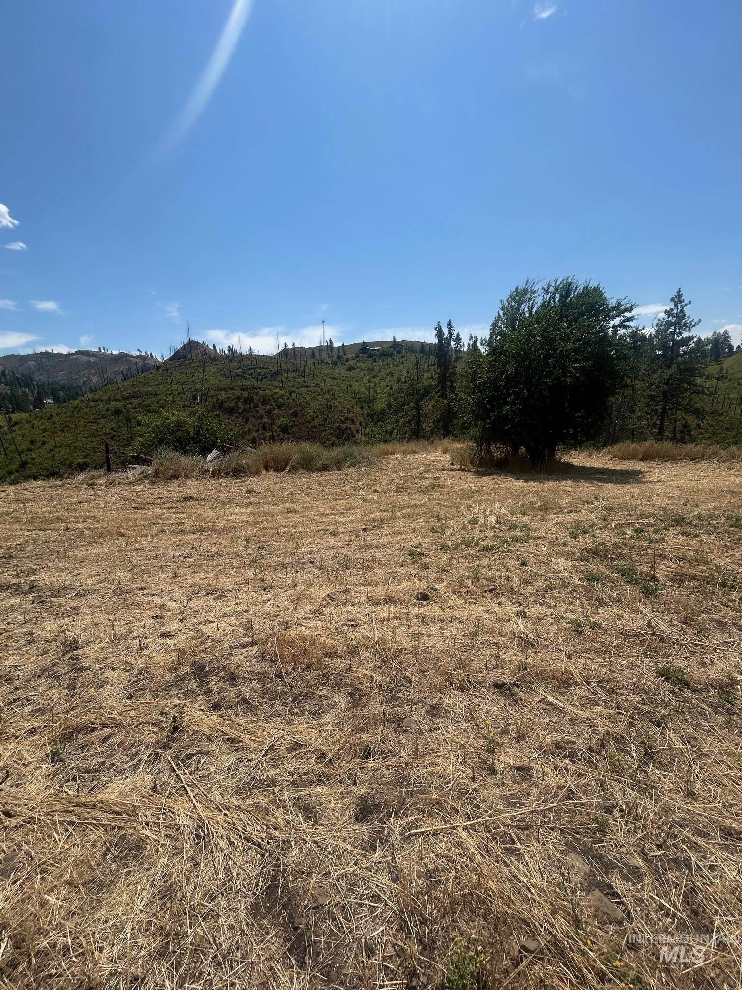 379 Glenwood Road Property Photo 18