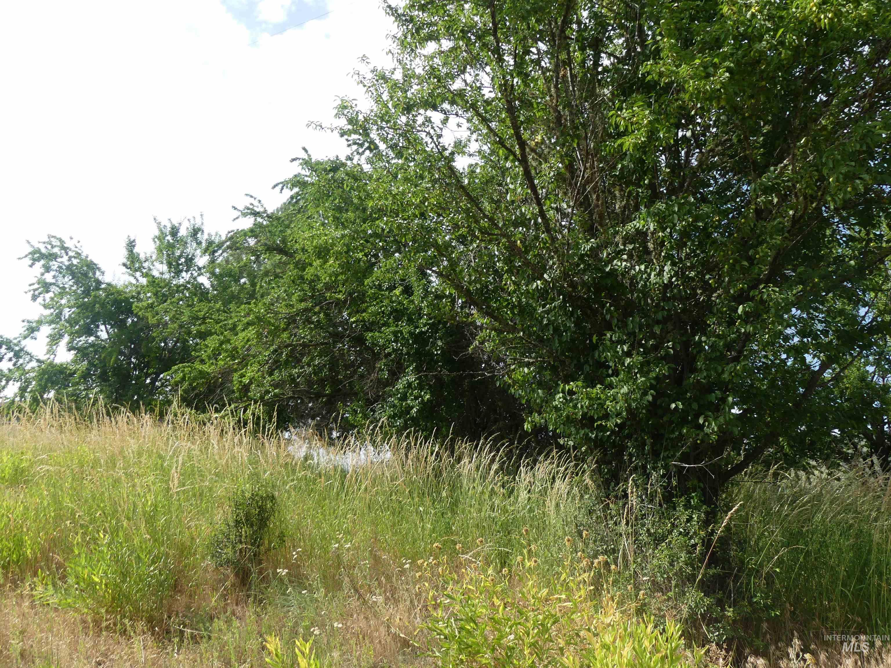 385 Glenwood Road Property Photo 25