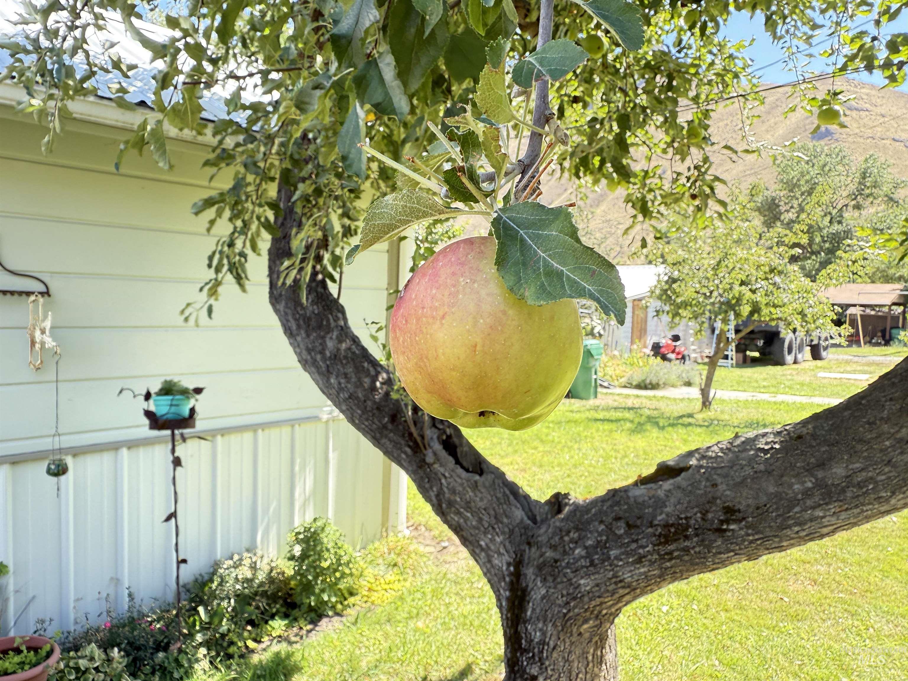 516 S Main Street Property Photo 15