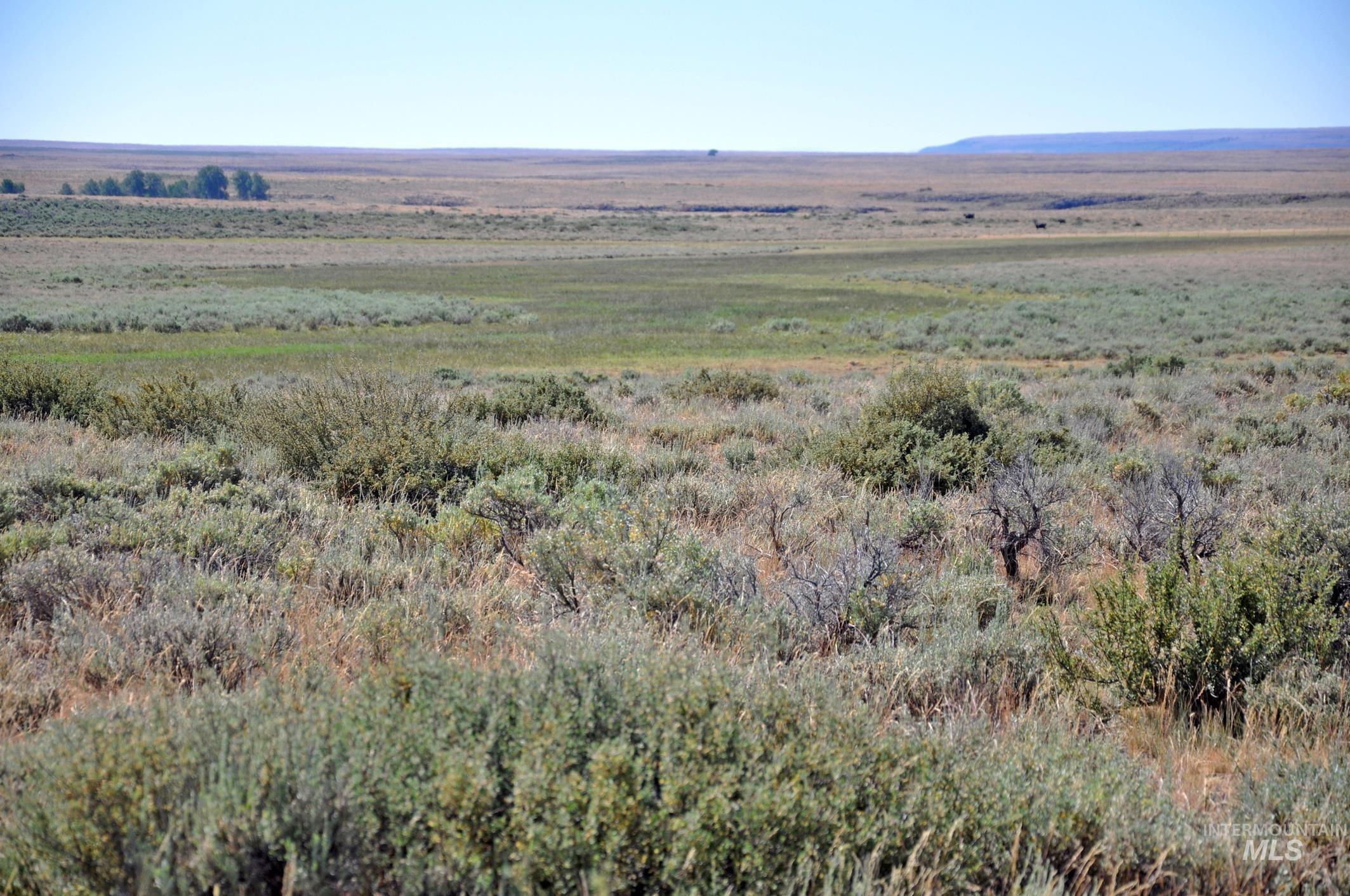 Tbd Mud Flat Road Property Photo 1