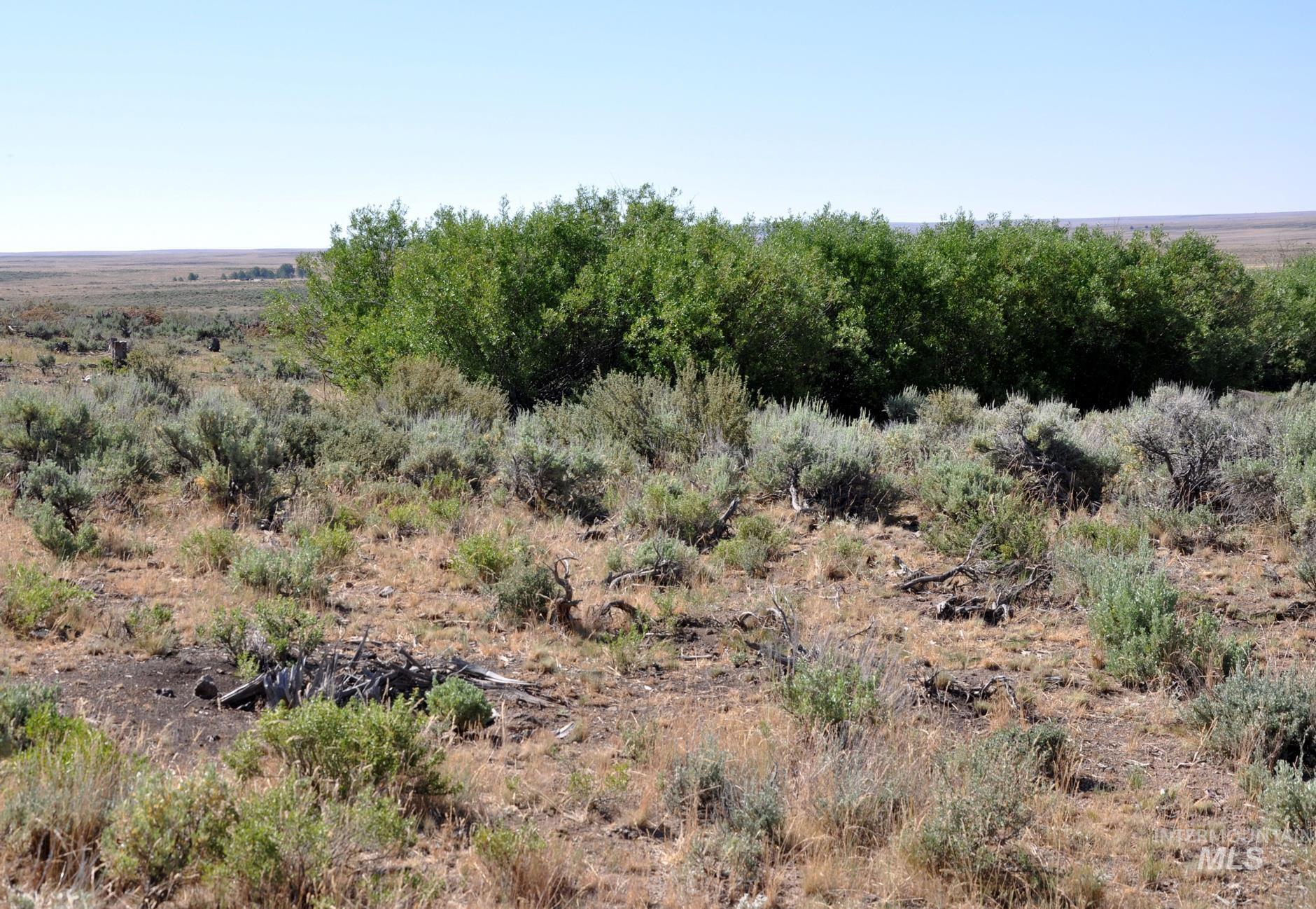 Tbd Mud Flat Road Property Photo 5